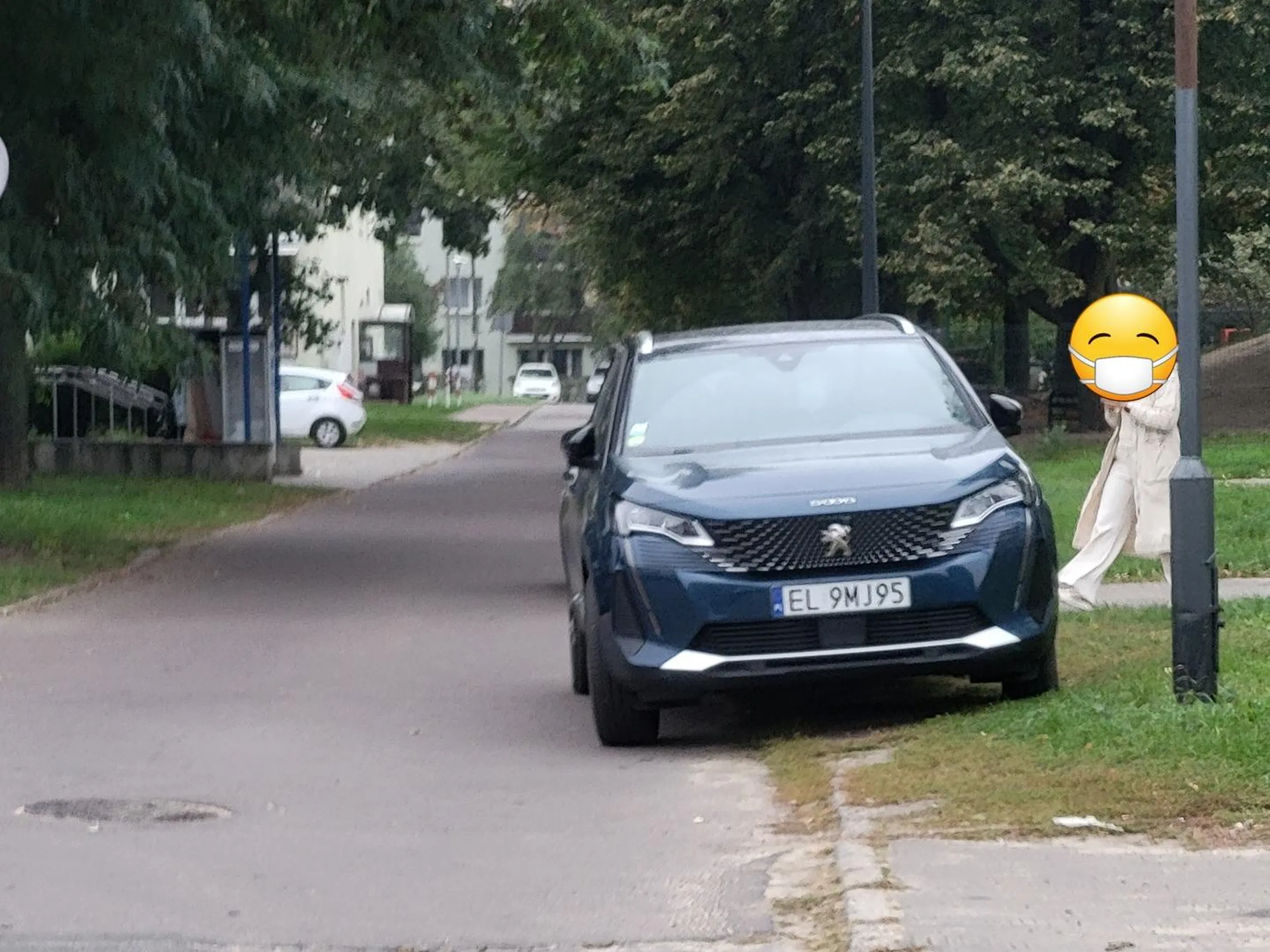 Ulicą jednokierunkowa, szeroka na 2 auta. Można zaparkować przy krawedzi jezdni ale lepiej trawnik rozjeżdżać we własnym mieście