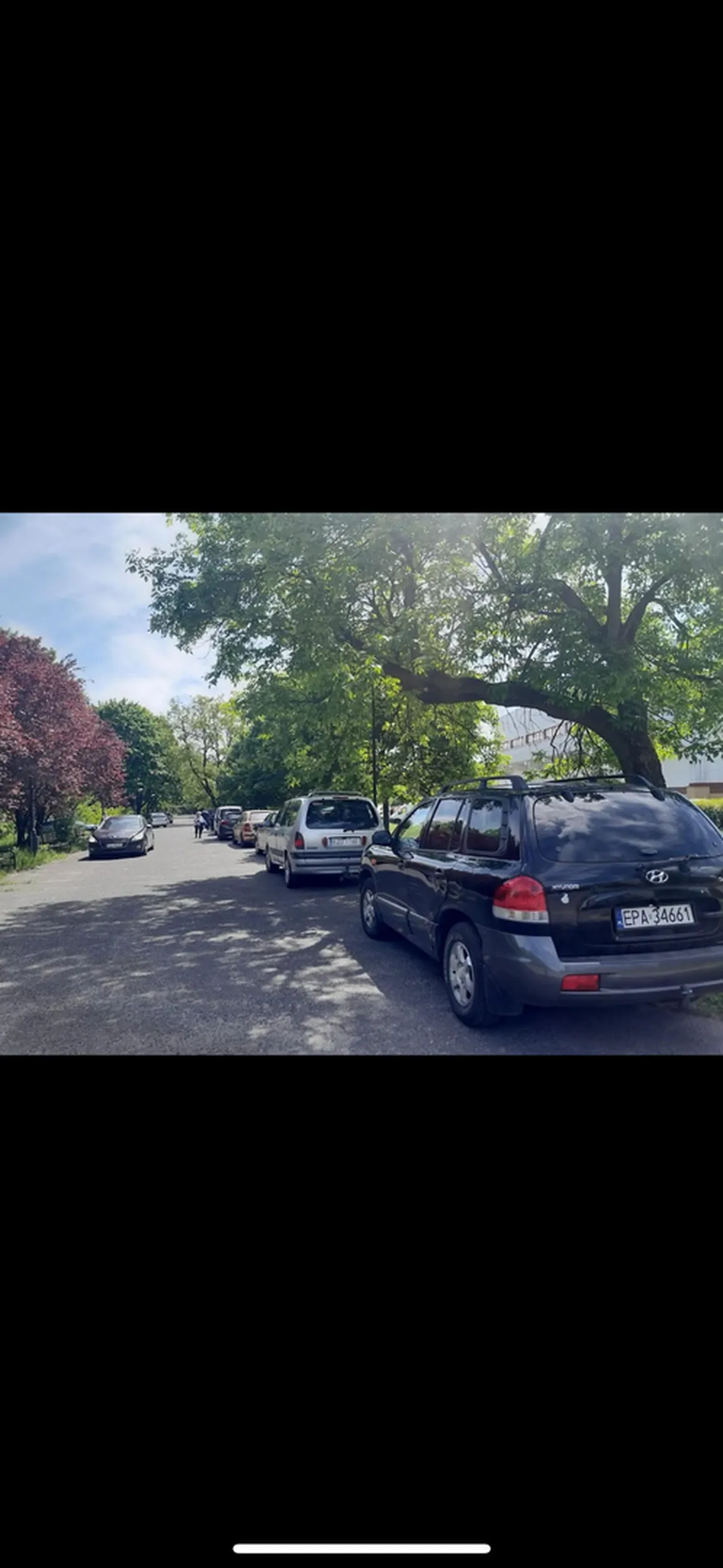 Parkowanie w parku Baden Powella, Łódź. Parkowa aleja