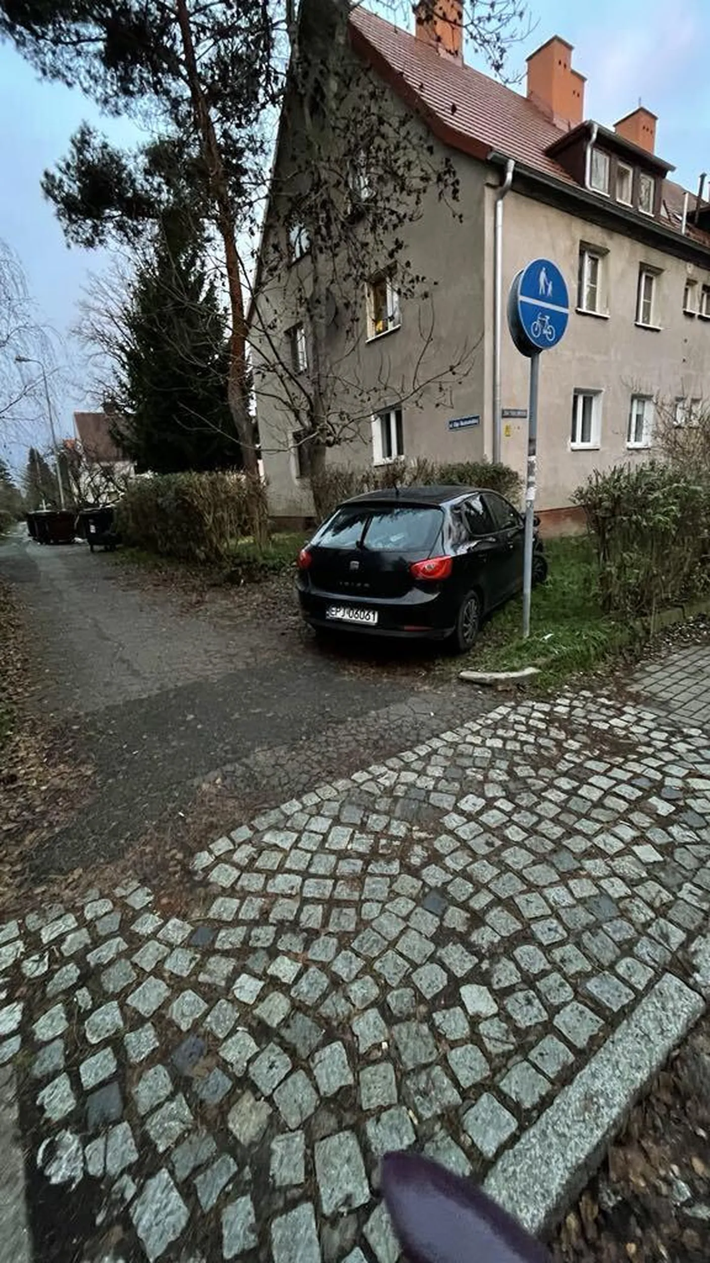 Nie muszę chyba wiele tłumaczyć. Parkowanie na zielonym, wjazd na DPR, byle tylko blisko do domku :/