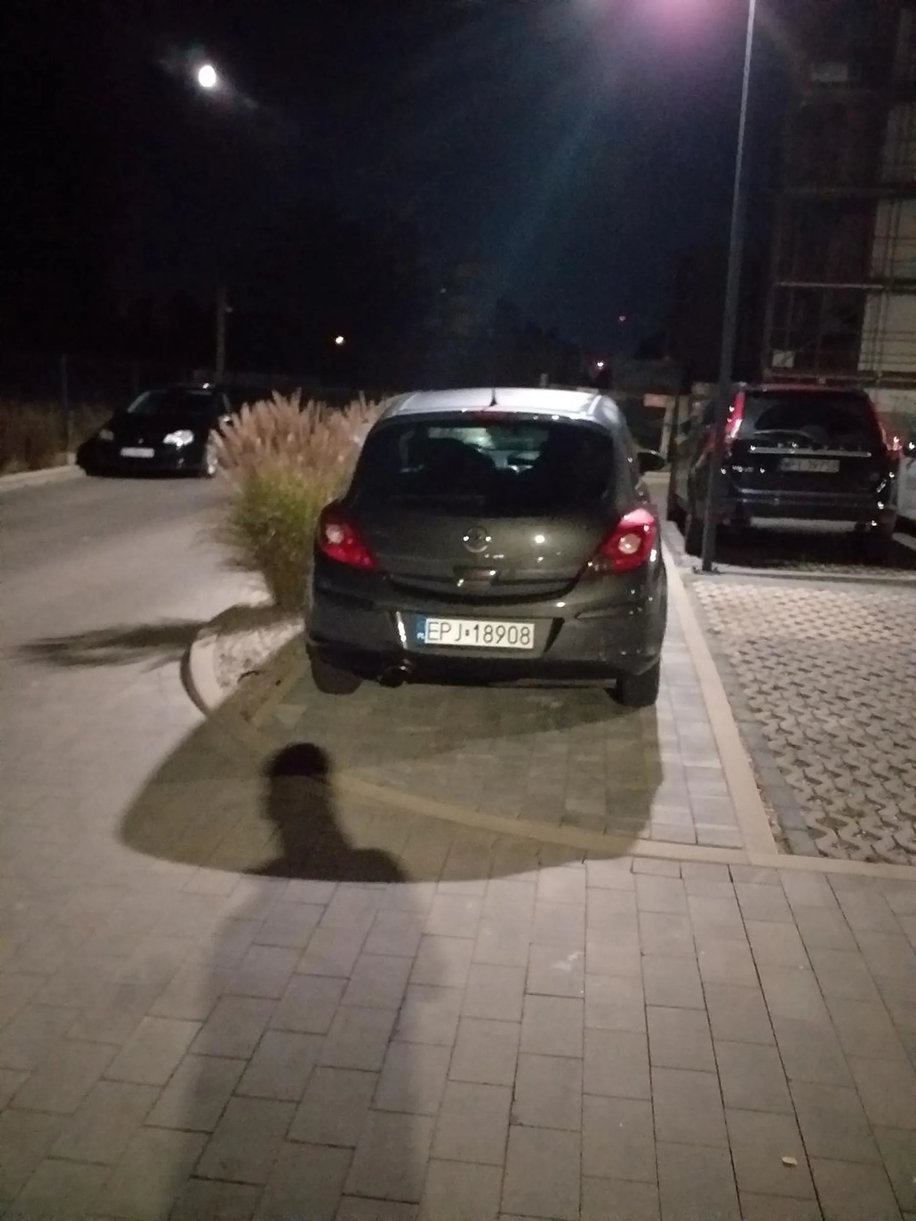 Baran co staje na chodniku