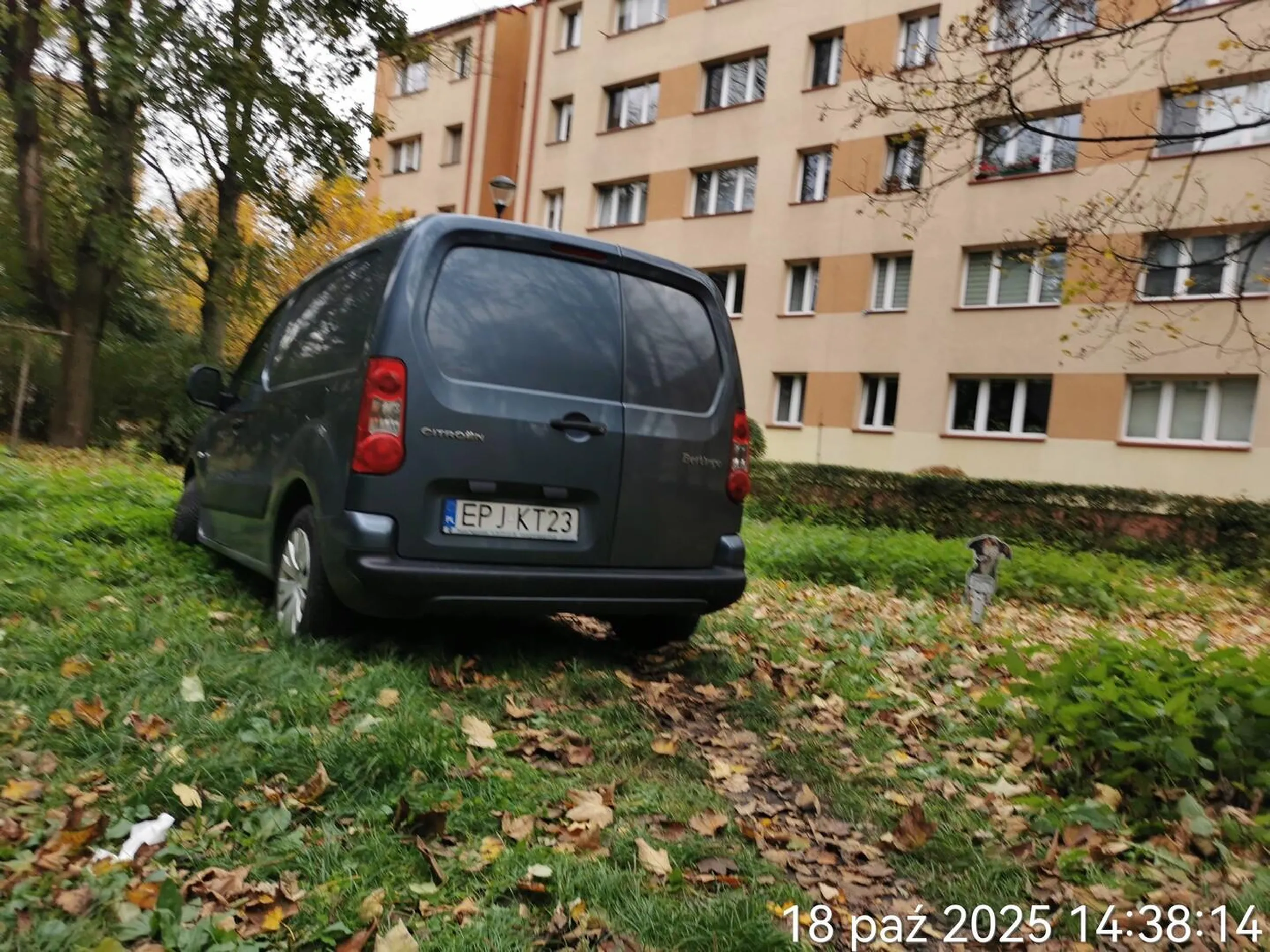 Może na wsi parkowanie na trawie jest czymś normalnym. Jednak straż miejska przypomniała klientowi że to jest wykroczenie.