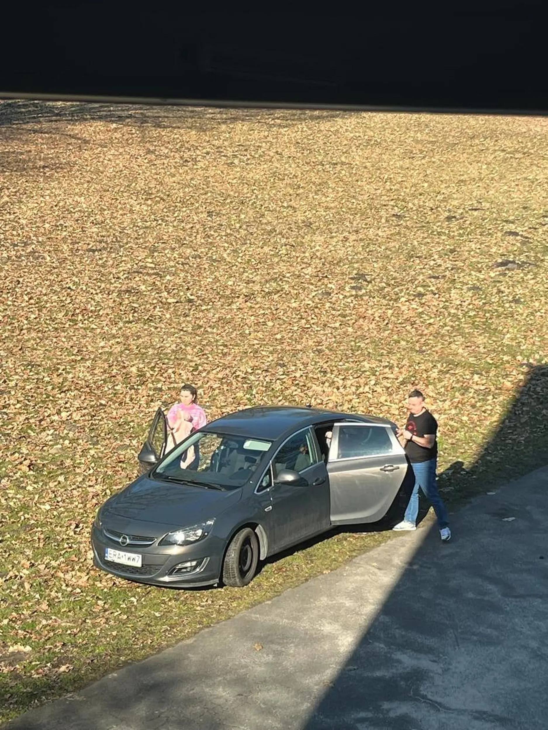 Nie szanuję zieleni