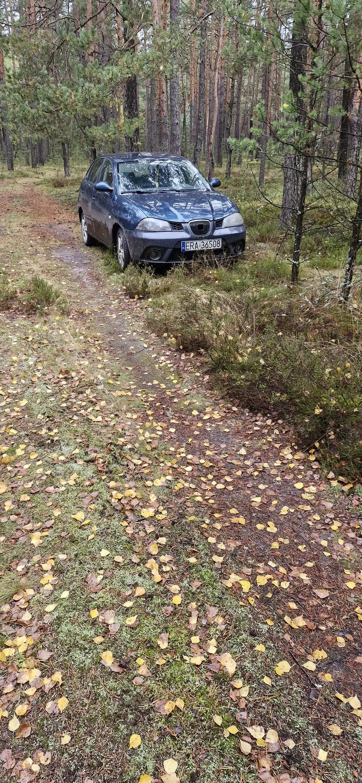 Następny dureń leń bo nie chce sie isc na nóżkach parę metrów musi wjechać w las szkoda ze jeszcze miedzy drzewami nie jezdzi i zbierać grzybow z auta