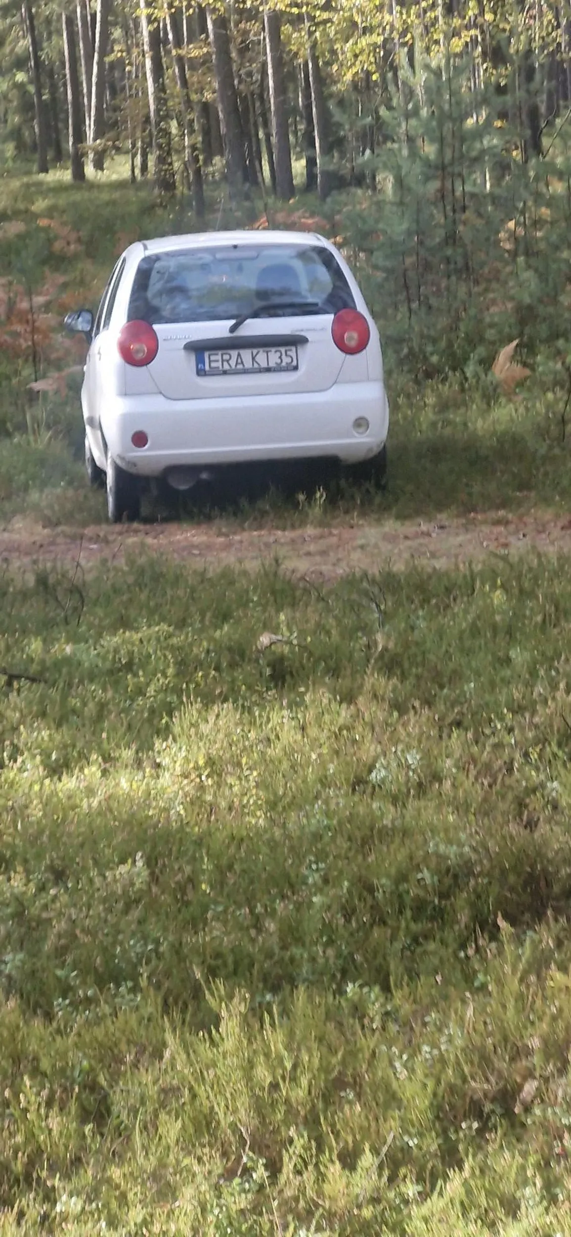 Pan i władca bo nie chce sie dojsc par metrów na nóżkach musi wjechać w las