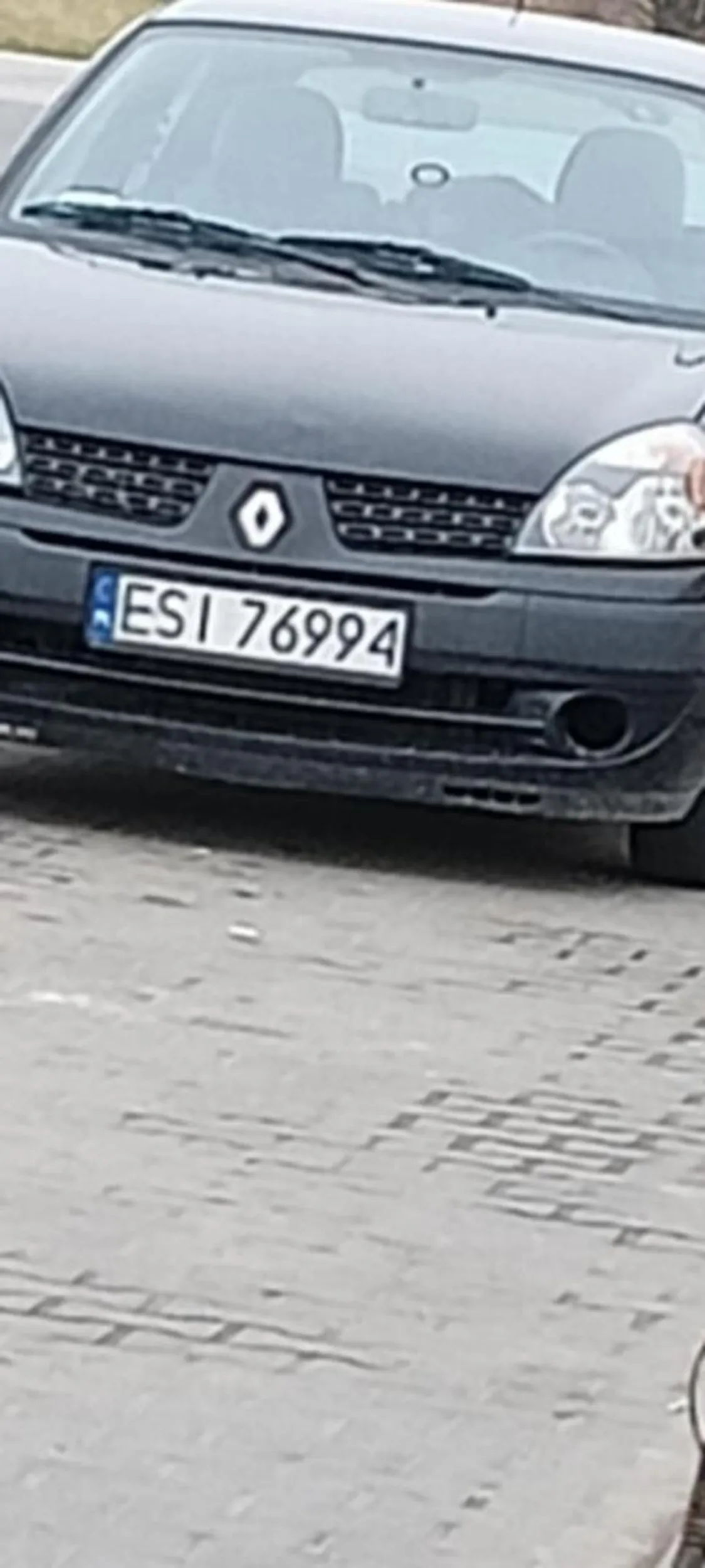 Kurwienie się po krzakach