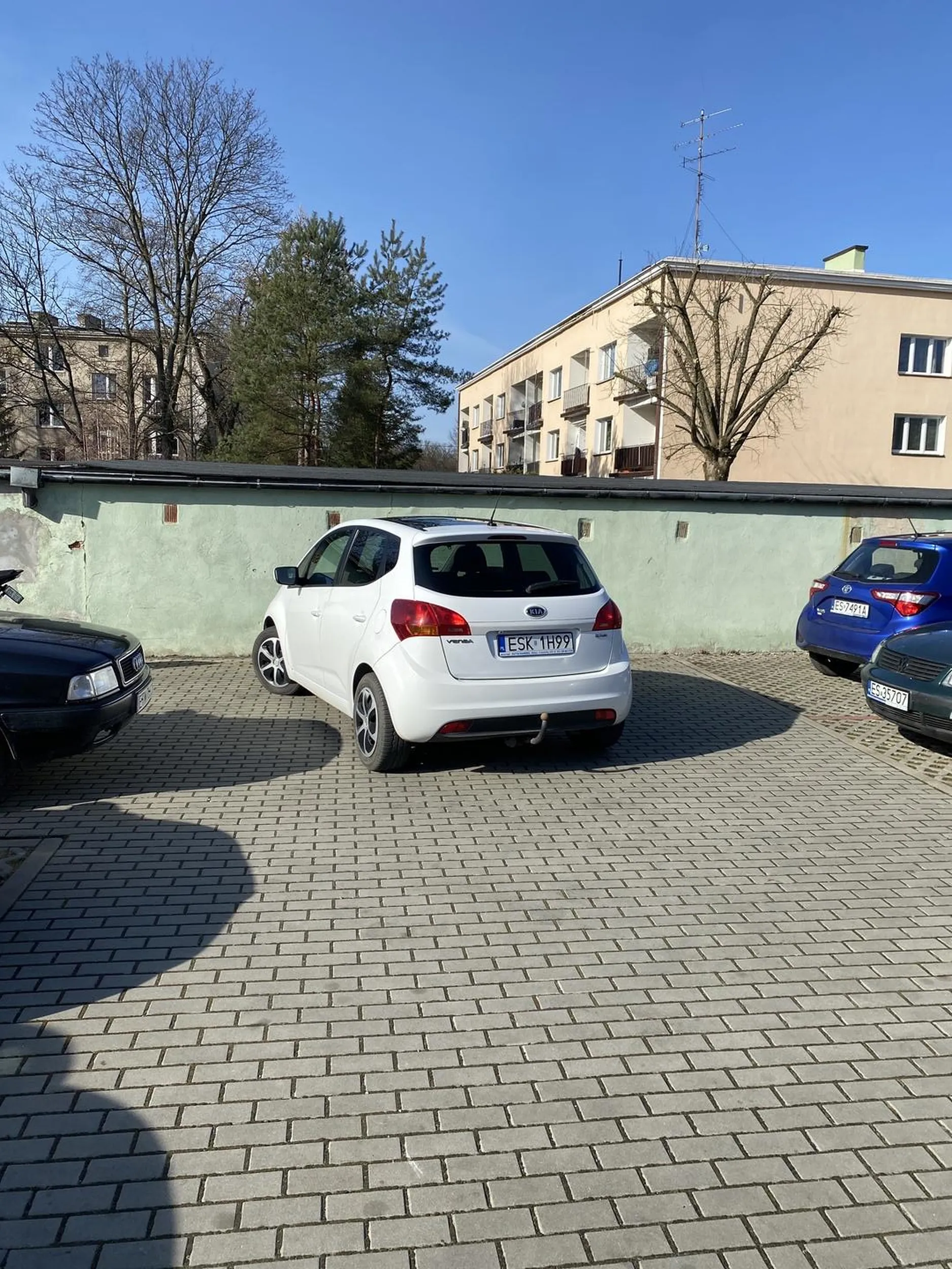 Mistrzyni parkowania na środku drogi