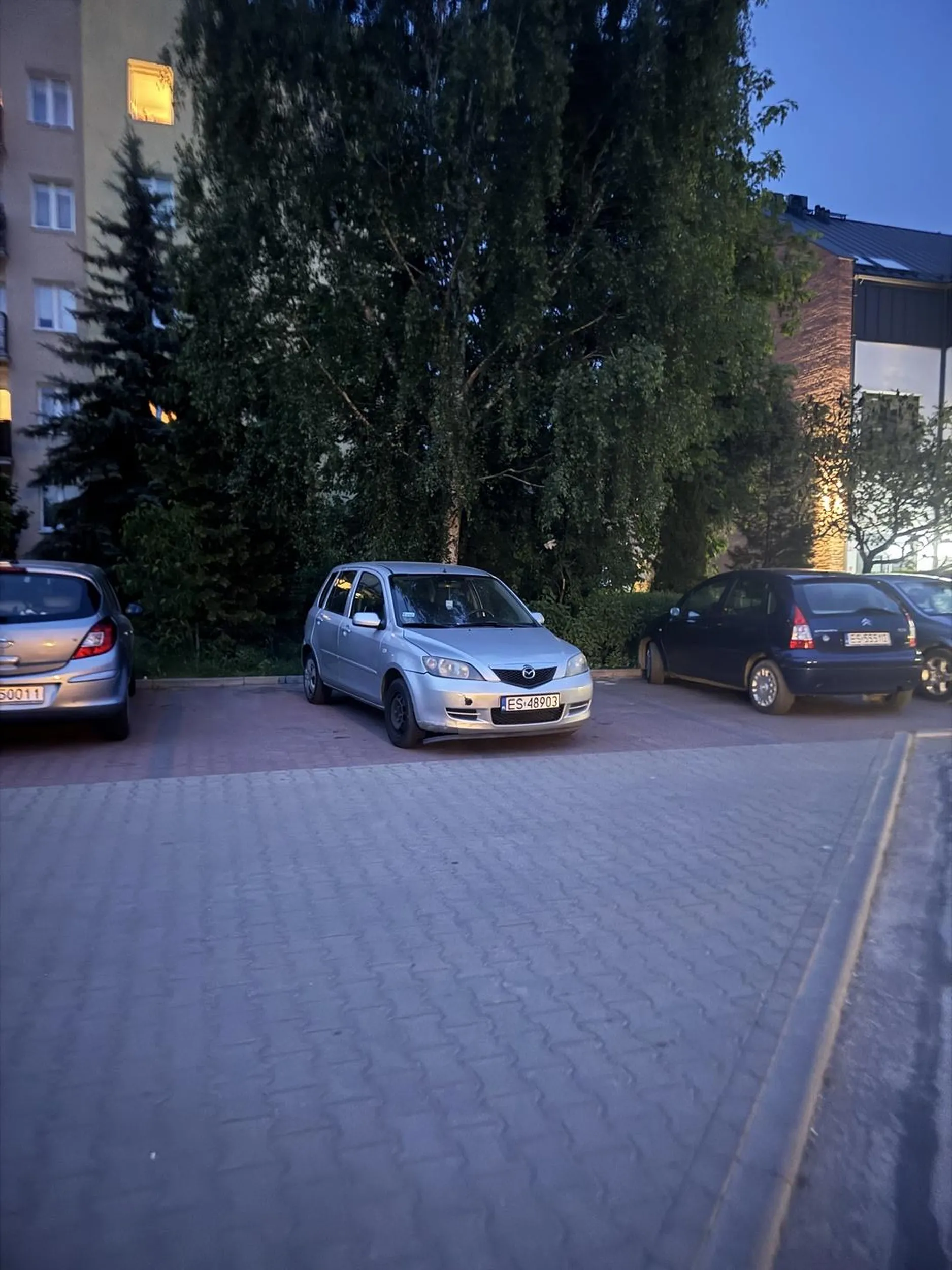 Pani ma widoczny problem z parkowaniem, jednak mimo wszystko uparcie próbuje tyłem non stop zajmując 2 miejsca