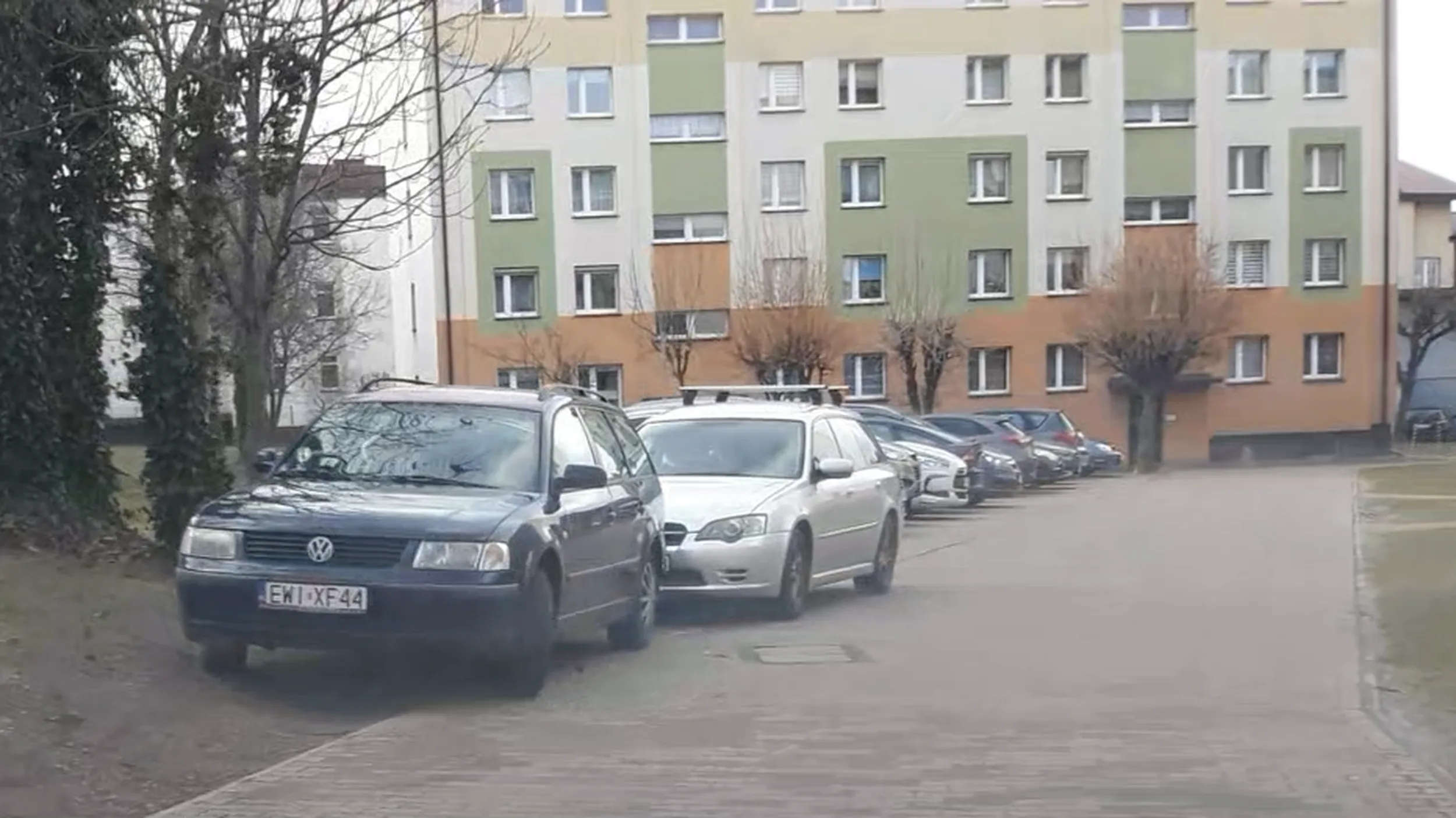 Trawnik rozjeżdżony, chorzy ludzie wolą błoto od zieleni.