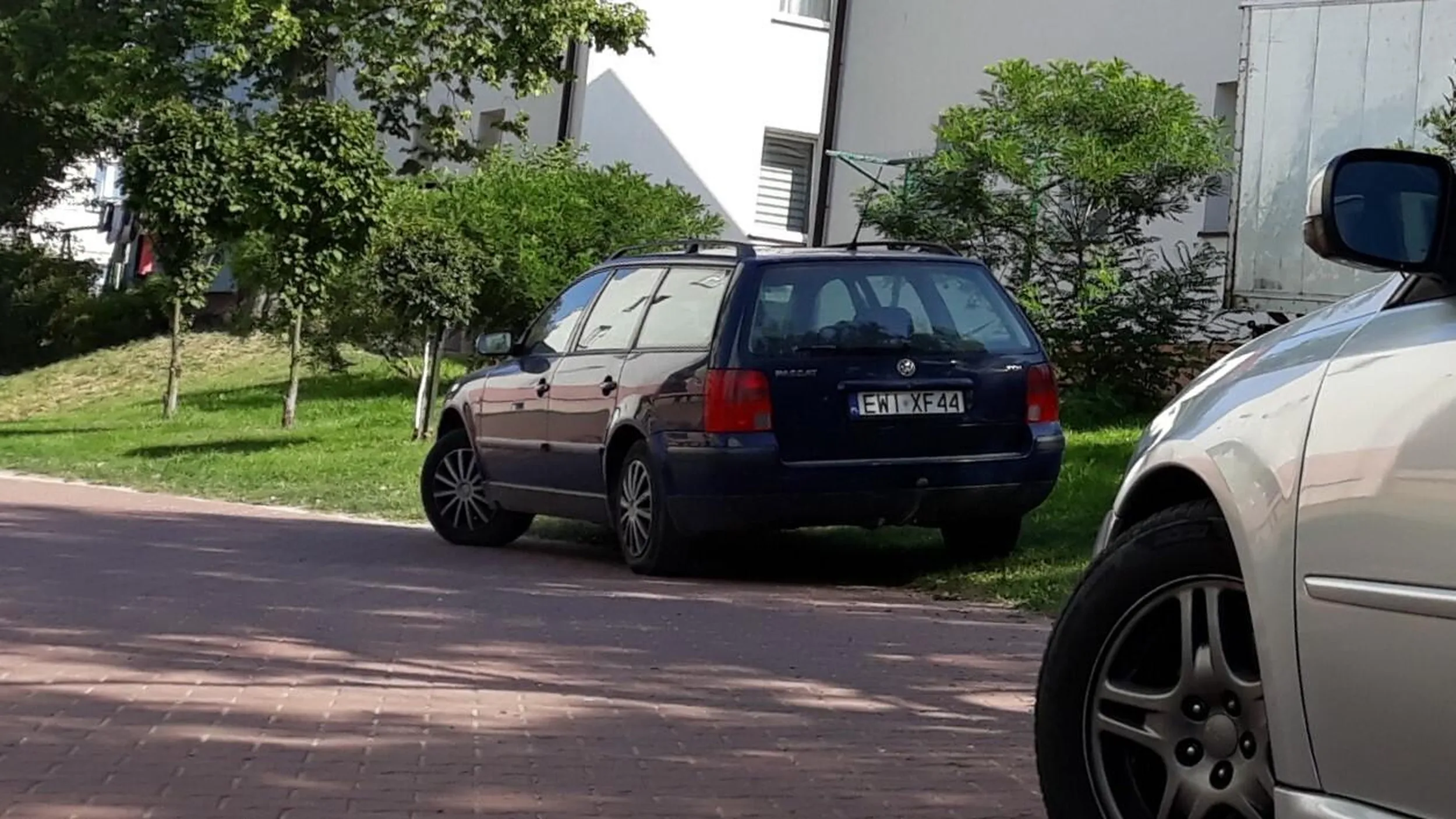 Rozjeżdżania trawnika nie ma końca.