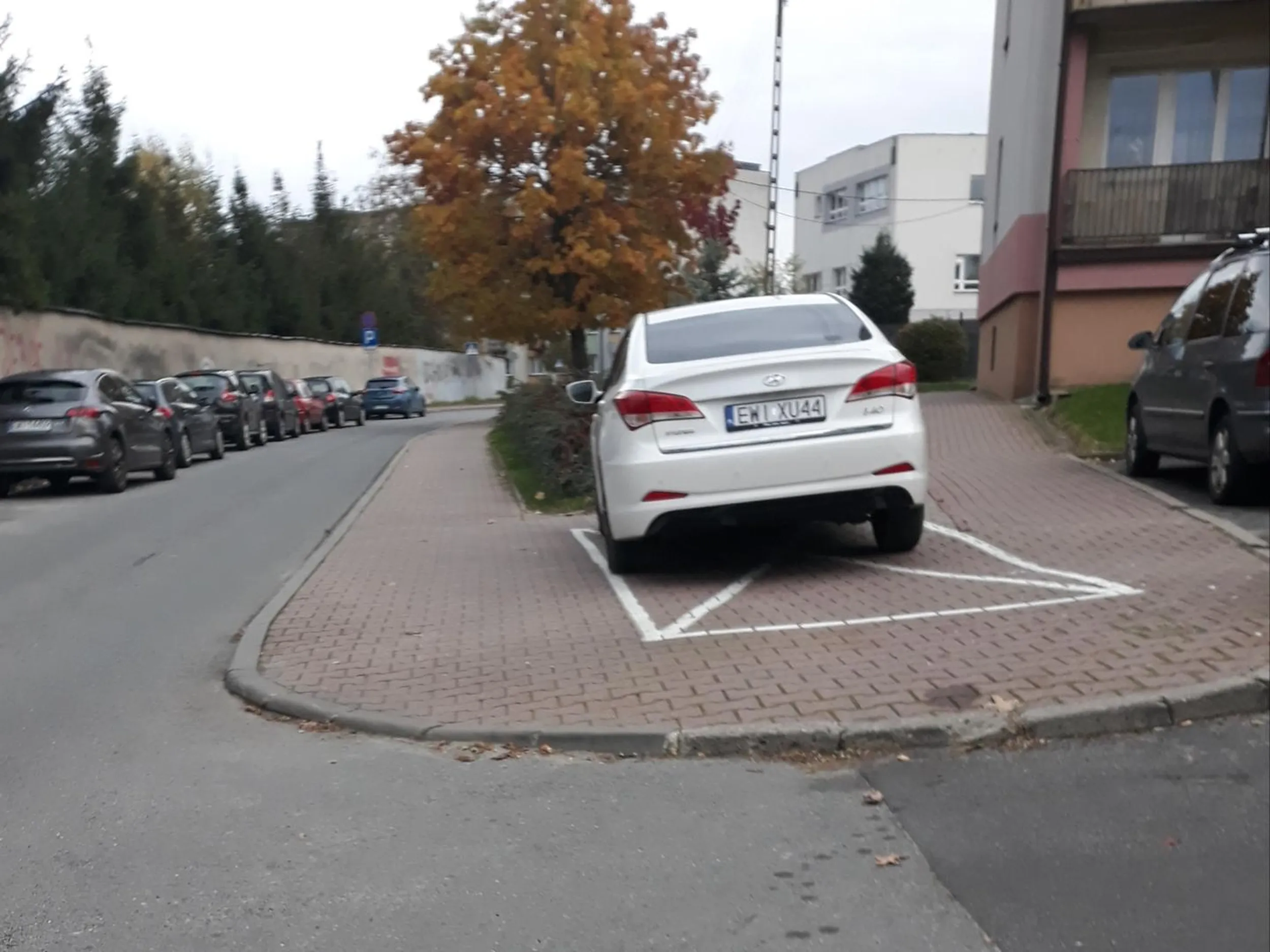 Jazda i parkowanie na chodniku, na zakazie zatrzymywania się, na kopercie, z dala od krawędzi jezdni.