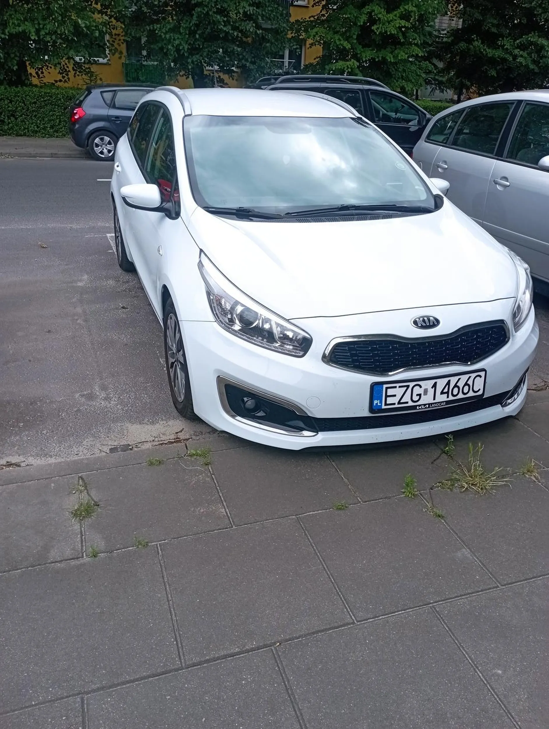 Talent do stawania idealnie na linii