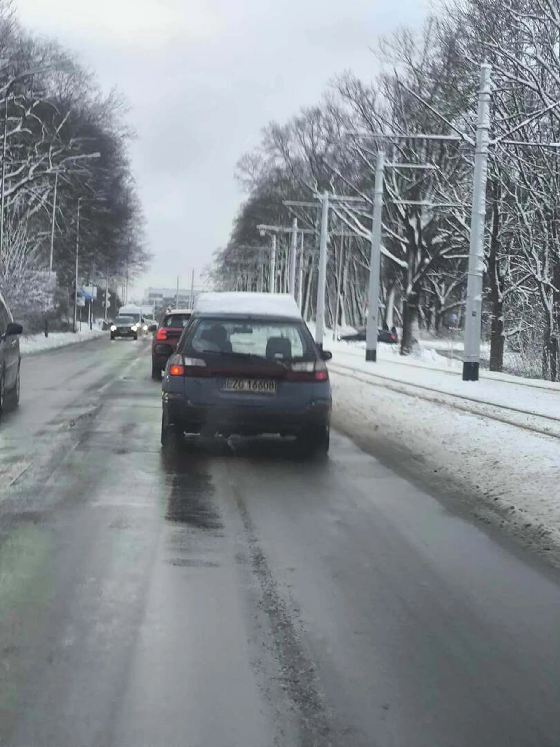 Zgierzątko przywozi zgierski śnieg do łodzi