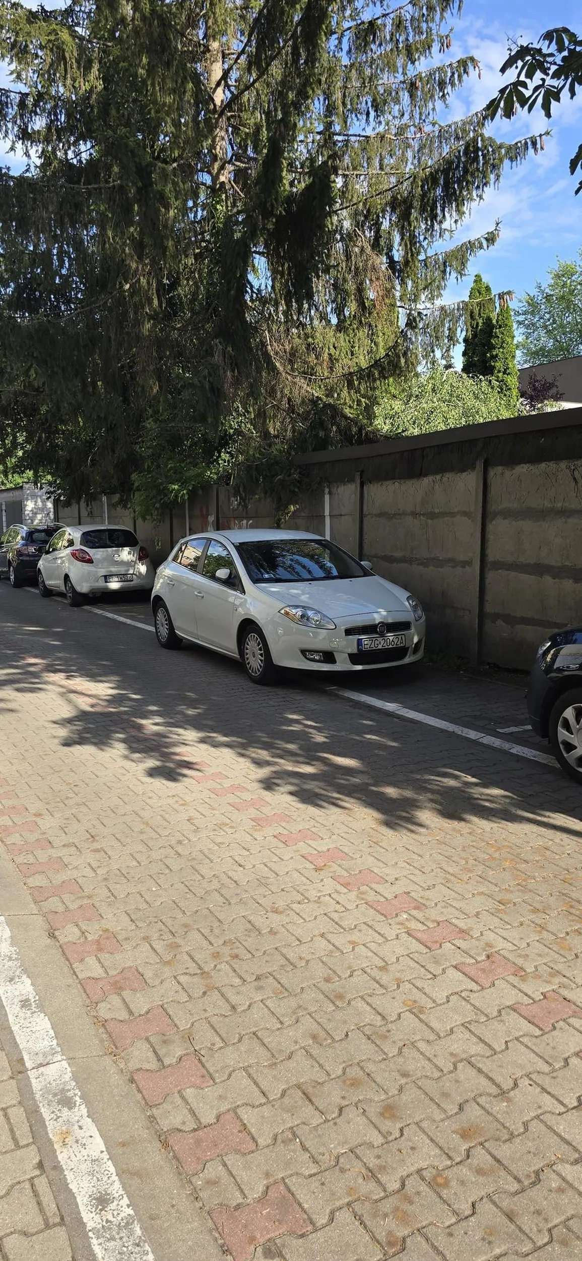 Przyjeżdża turysta pewnie dupe odwiedzić i potem ja nie mam gdzie parkować - jest to teren ogrodzony