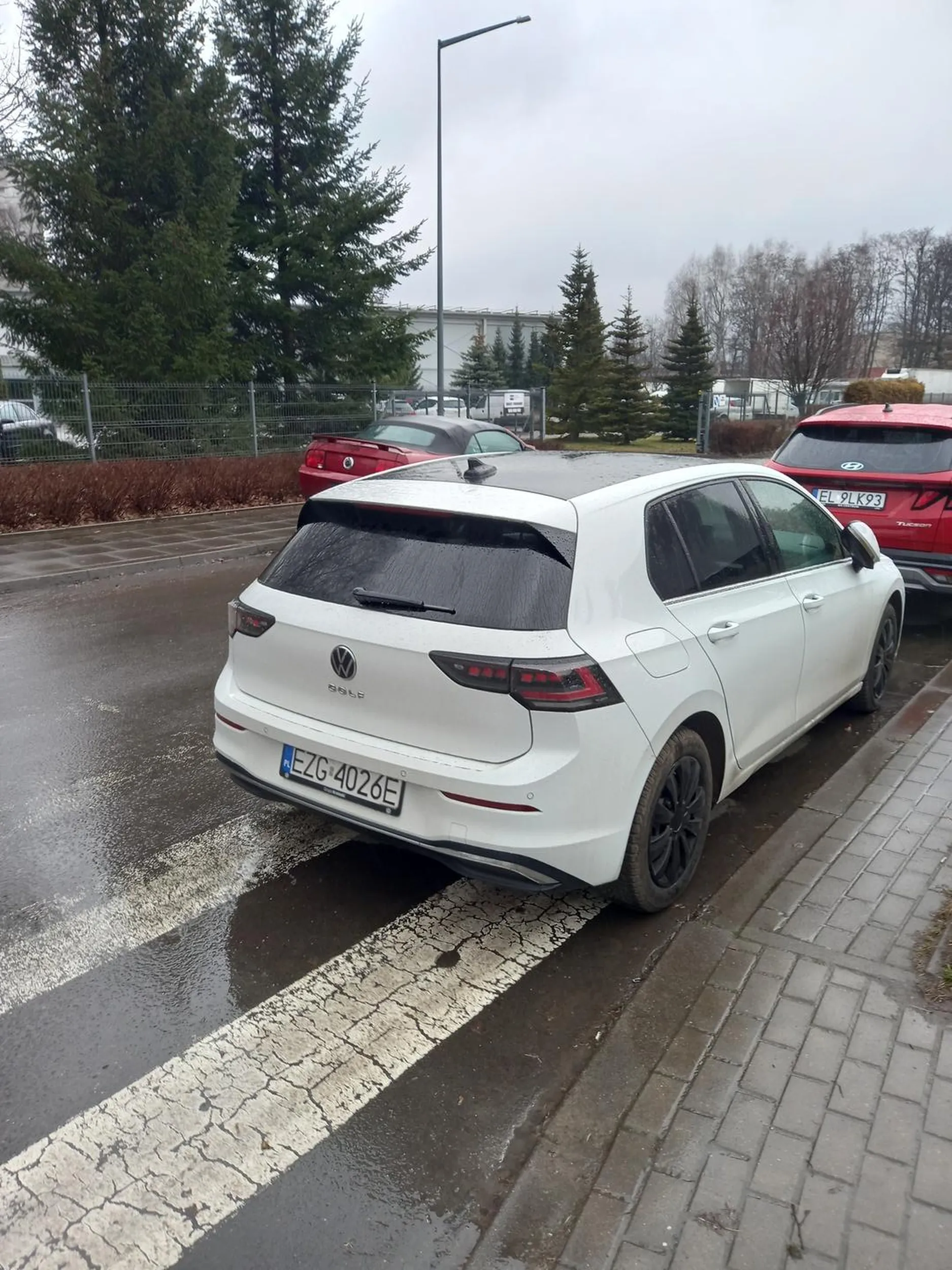 Parkowanie na przejściu dla pieszych. Miał kwitek od Straży Miejskiej w Zgierzu za szybą