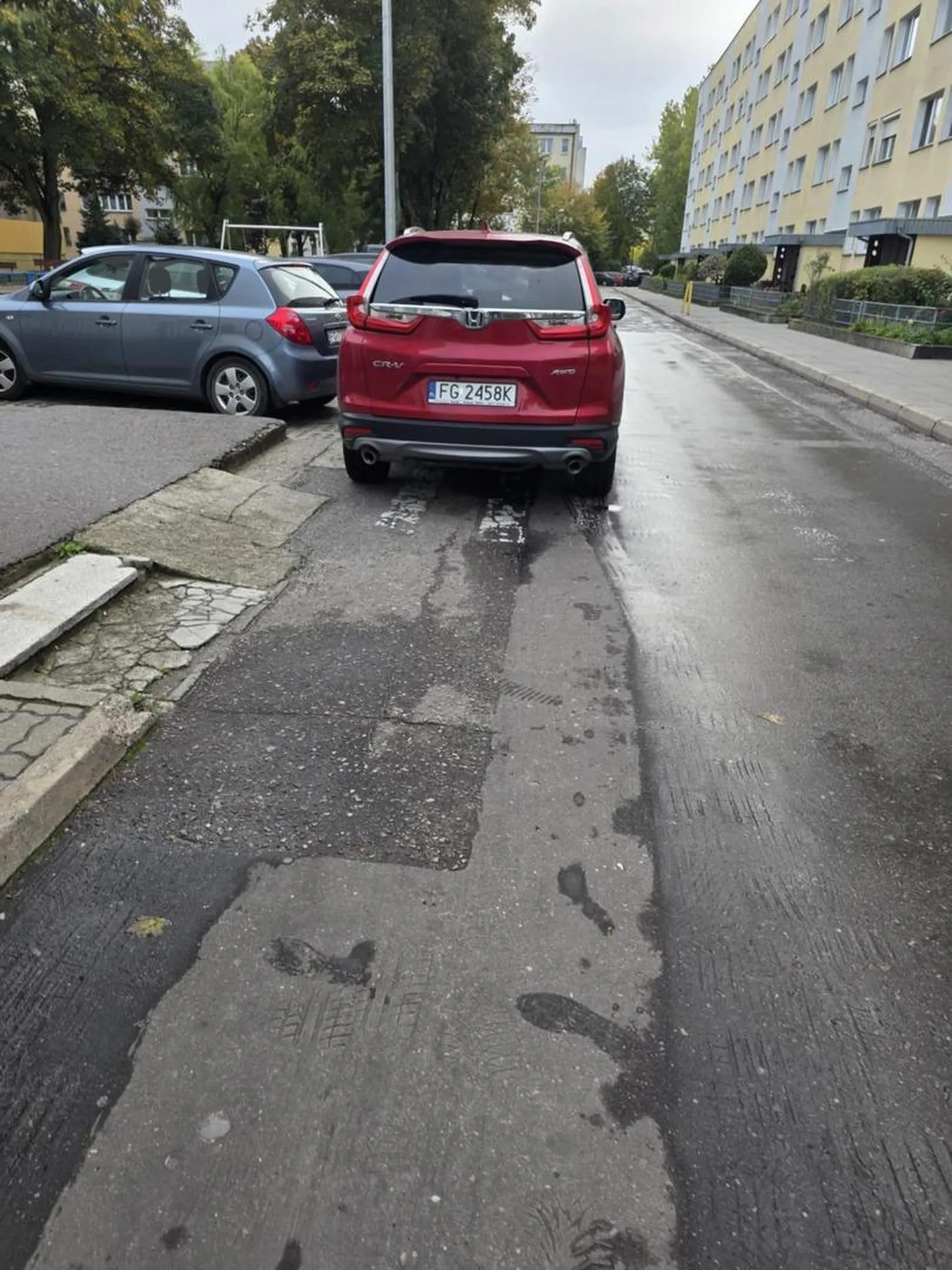 Dla tego wizjonera motoryzacji, białe pasy na jezdni to nie jest żadne tam "przejście dla pieszych", to jest ekskluzywny, luksusowy, osobisty dywanik wejściowy w sam środek akcji. Dlaczego mieliby marnować cenne sekundy na szukanie legalnego miejsca, skoro całe skrzyżowanie czeka, by pełnić funkcję ich prywatnego parkingu VIP?