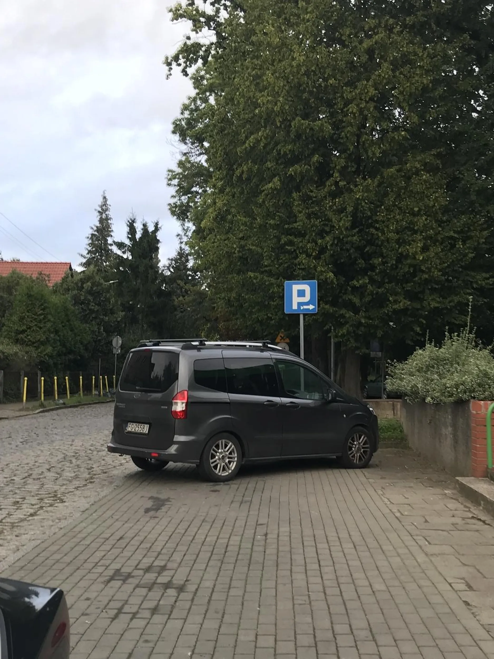 Co tu więcej pisać, zdjęcie mówi samo za siebie. Całą szerokość chodnika zastawiona przez jaśnie panią