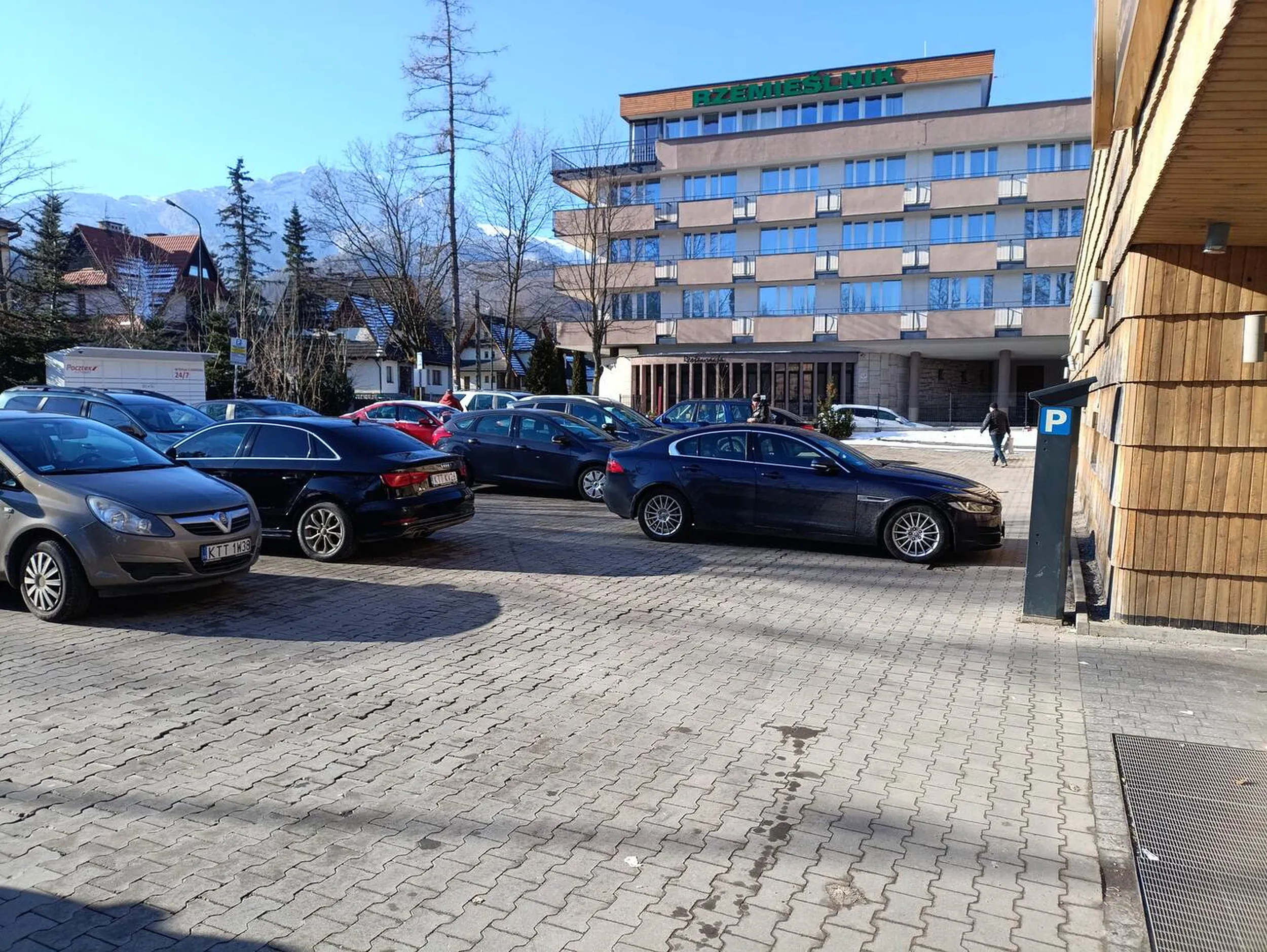 Mistrz świata w celnym parkowaniu. Jeleń zablokował parking i przejazd przy sklepie.