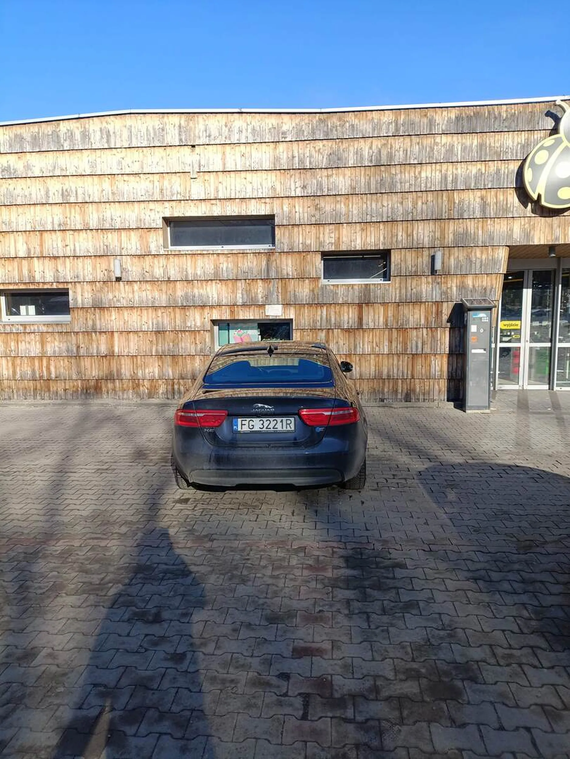 Mistrz świata w celnym parkowaniu. Jeleń zablokował parking i przejazd przy sklepie.