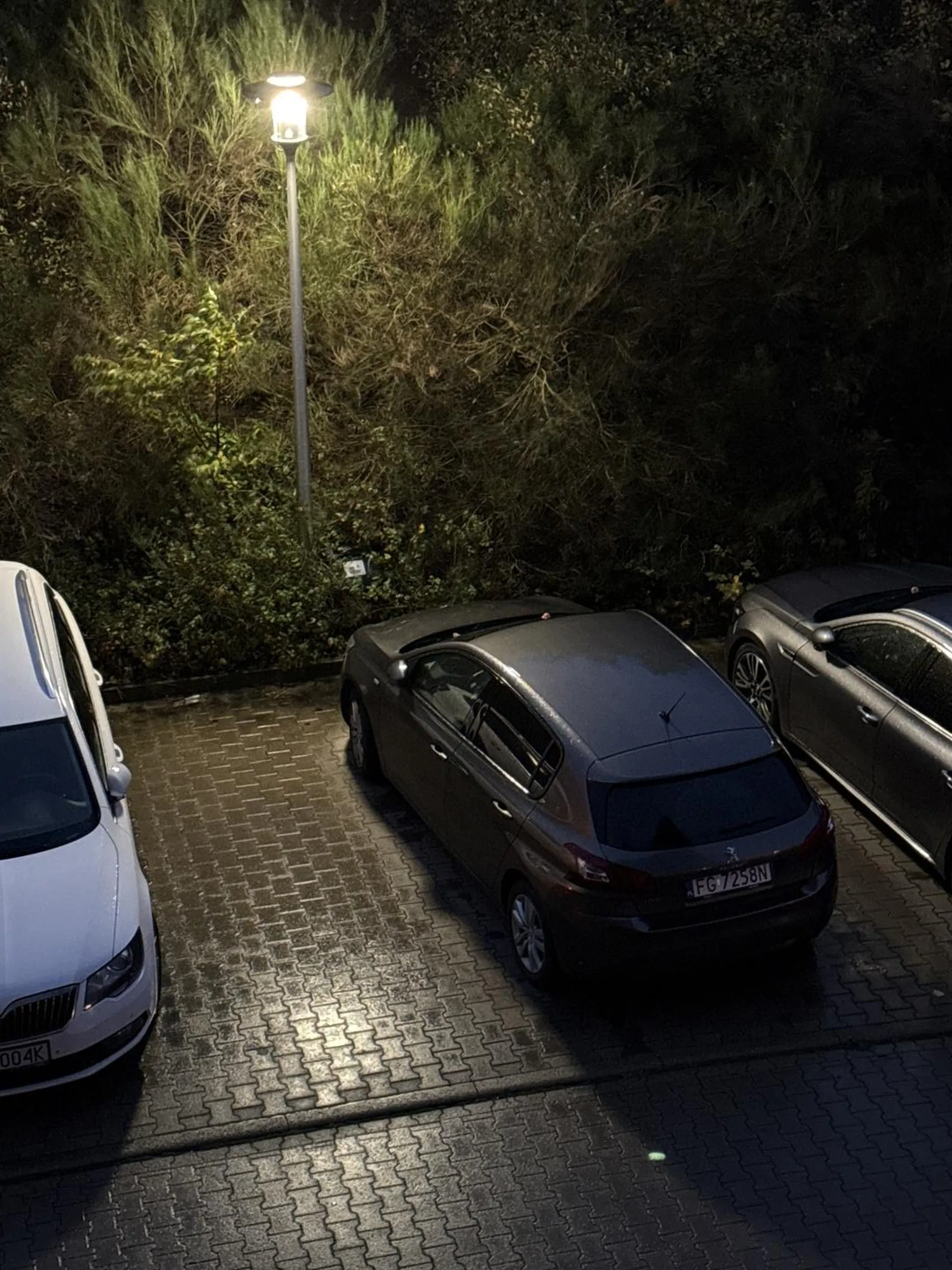 naprawdę żenujące, a prawo jazdy to chyba w chipsach wygrane, idź na kurs parkowania jak nie potrafisz, następnym razem naklejki będą