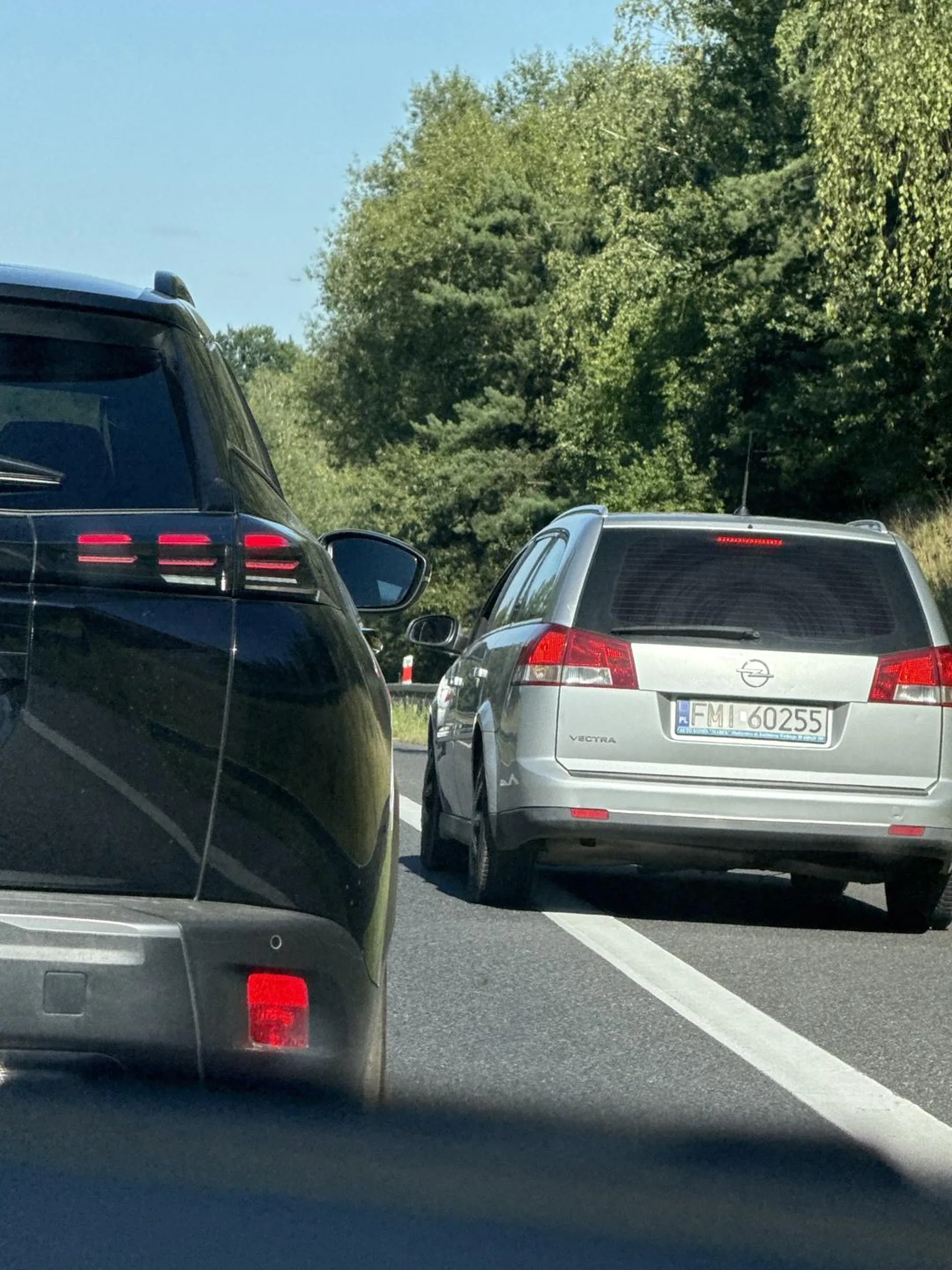 Ewidentnie pasy się kierowcy mylą... Porażka