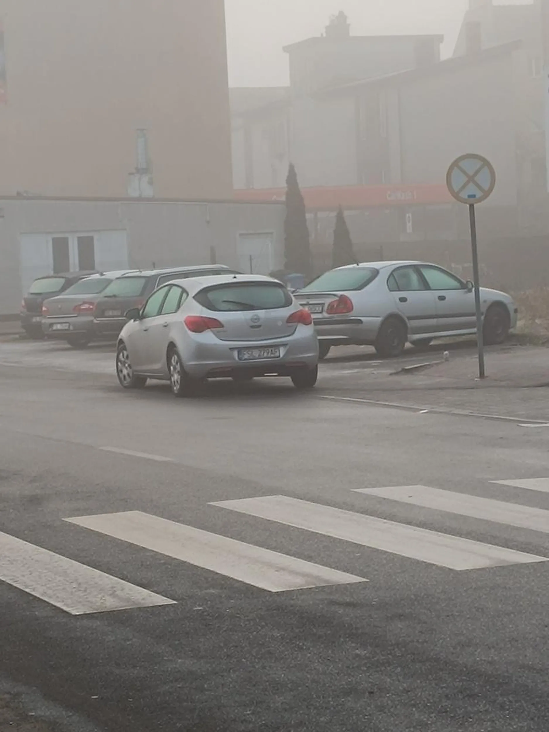 Ameby są mądrzejsze.