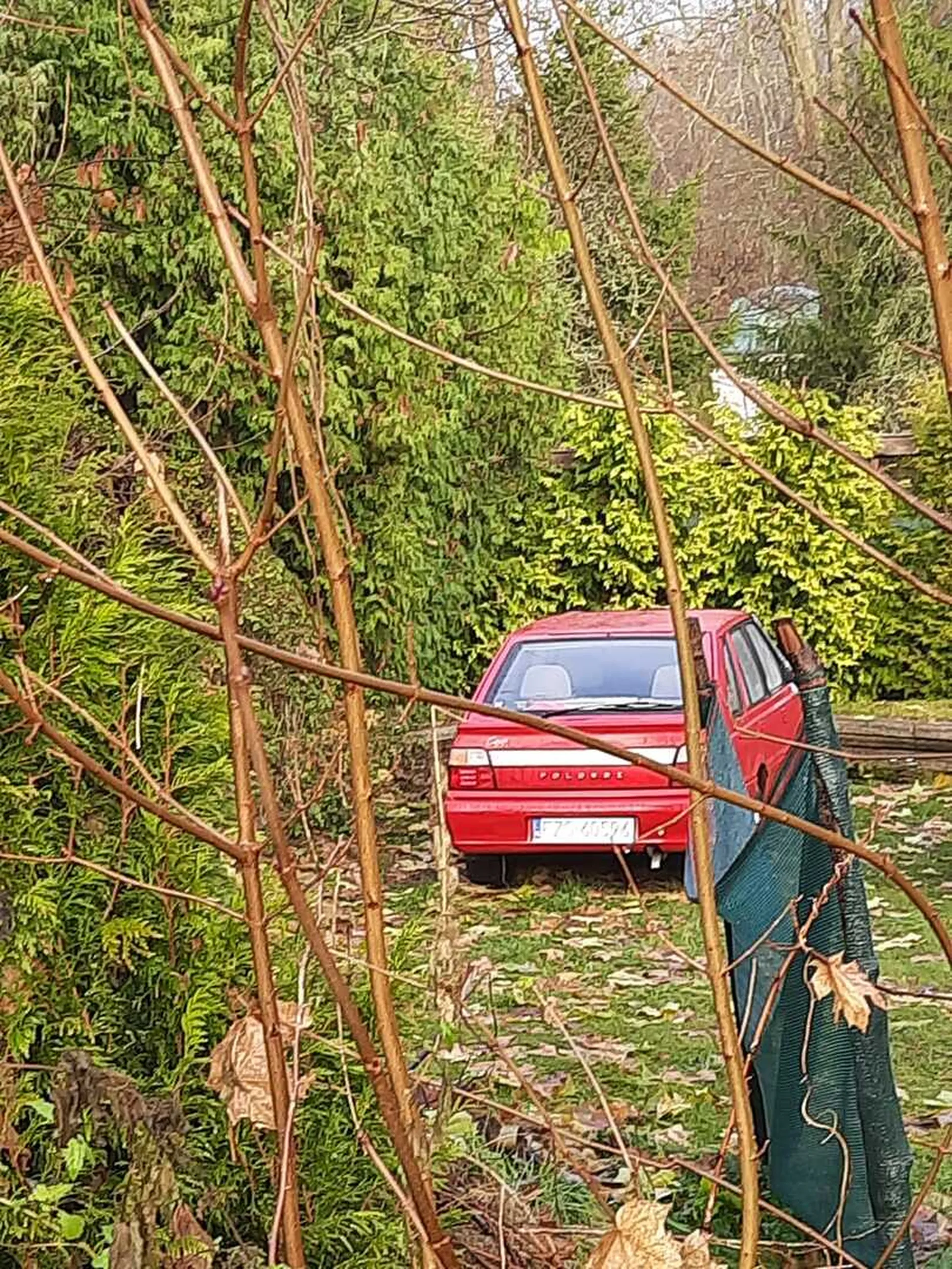Ładny Polonez caro plus?