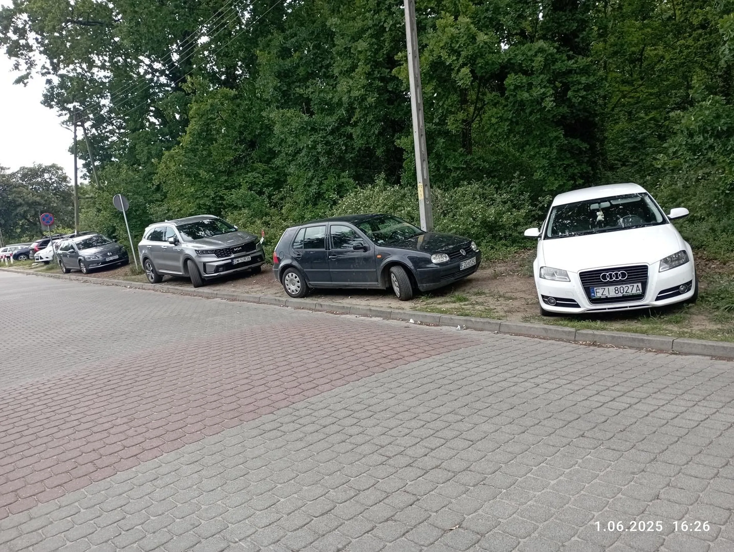 Nie stać na parking,to po krzakach parkuje.Ciekawe,czy się opłacało.