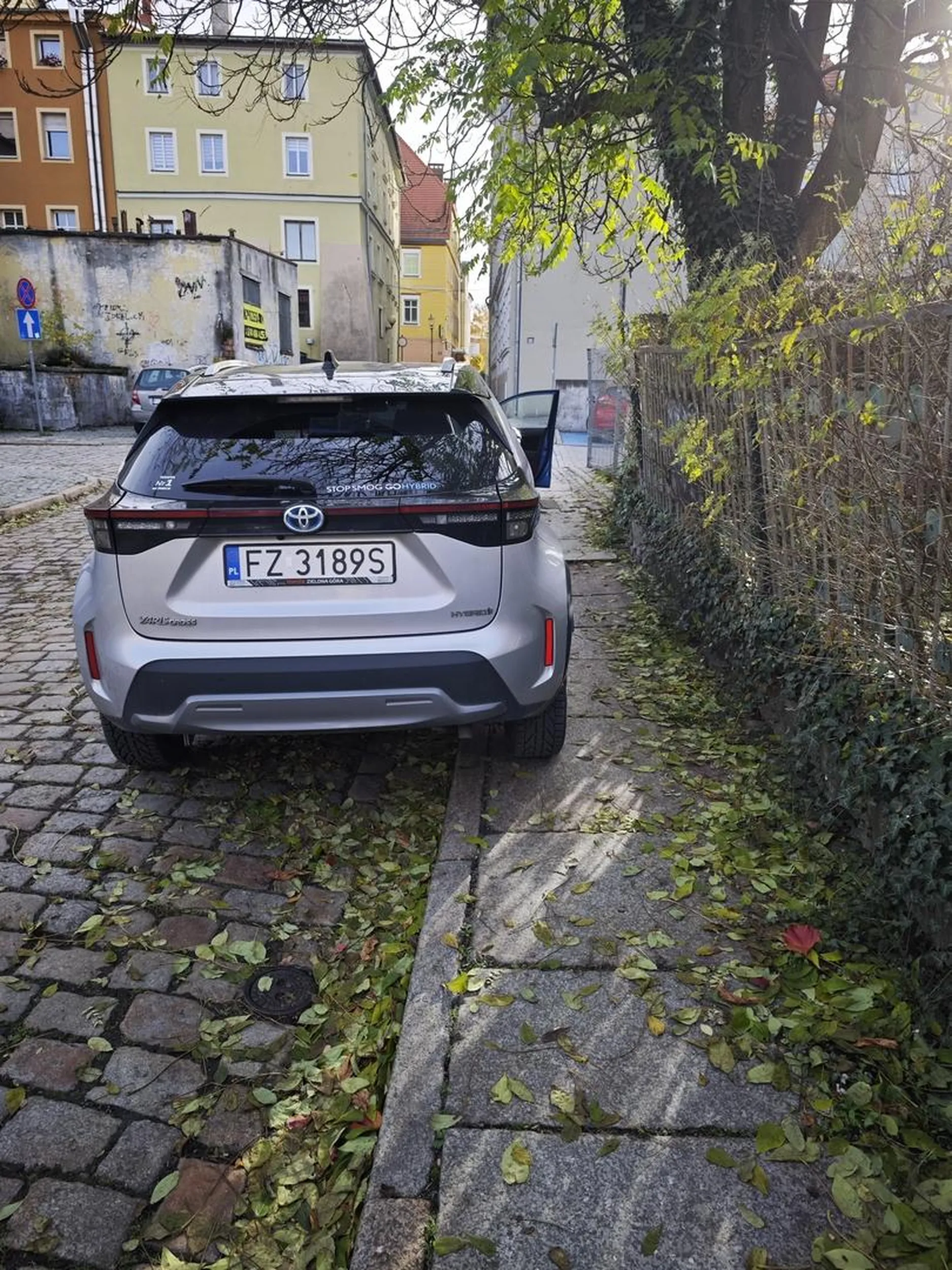 Mistrzyni parkowania ?????