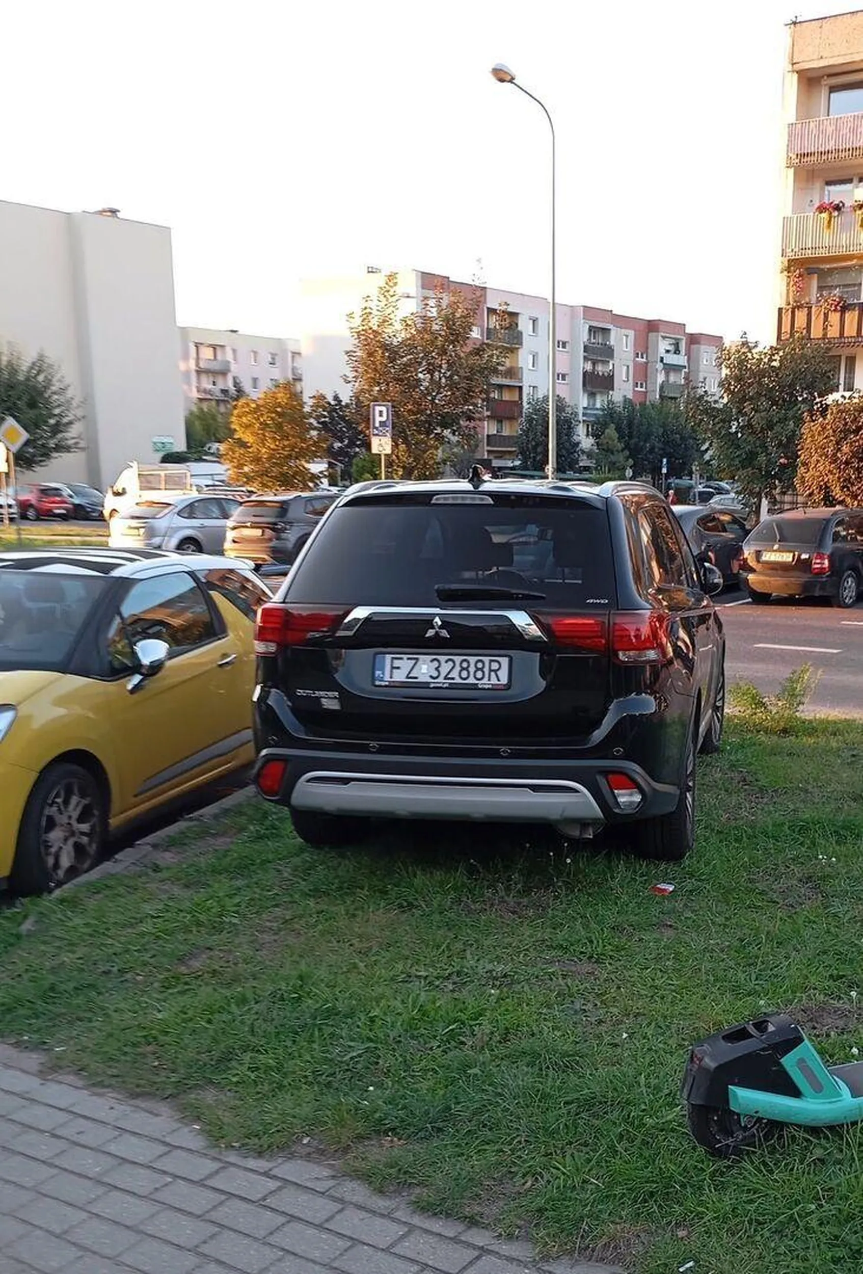 Samochód to nie krowa, a trawnik to nie pastwisko ?