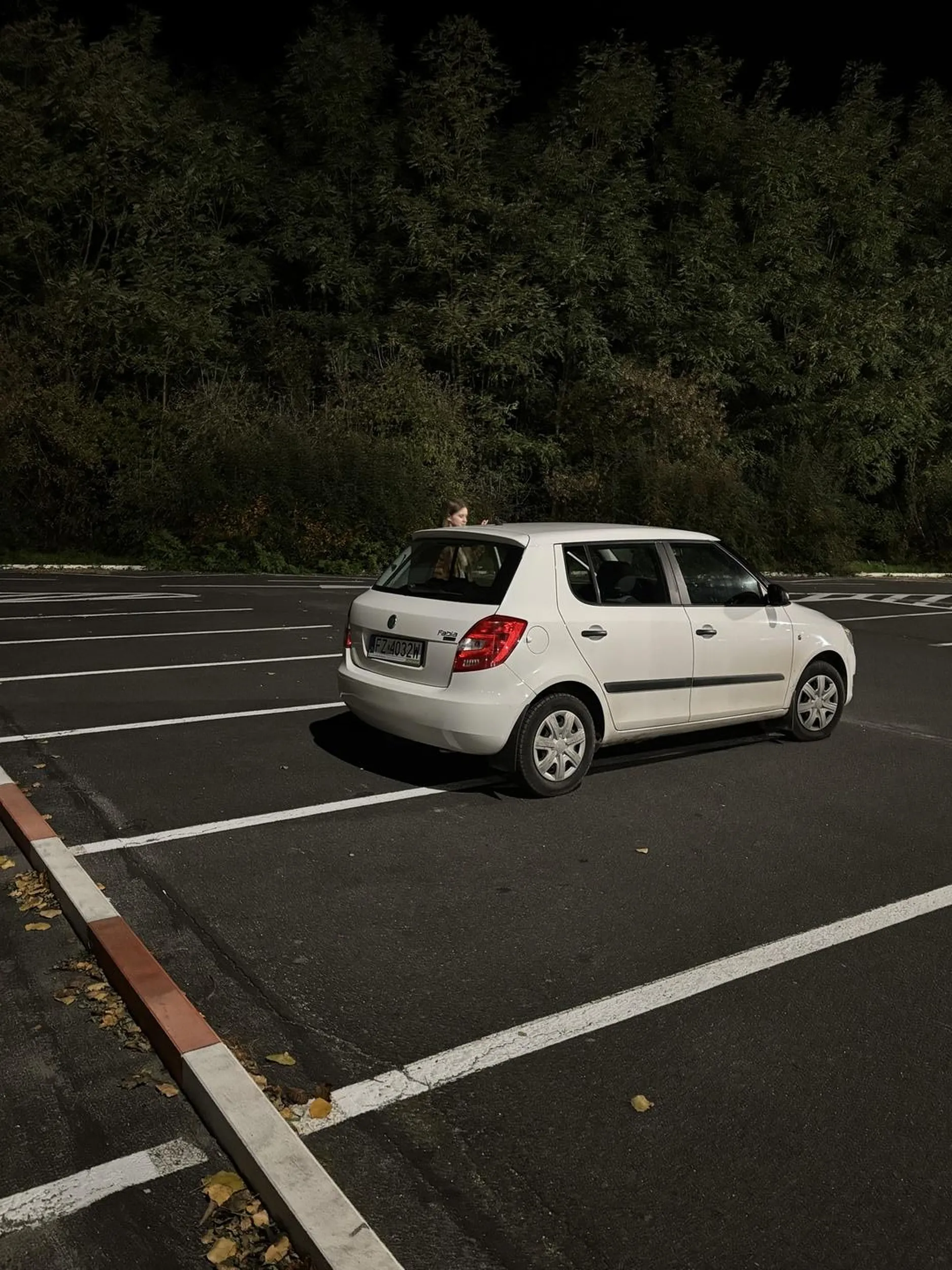 Super kierowca. Potrafi parkować.