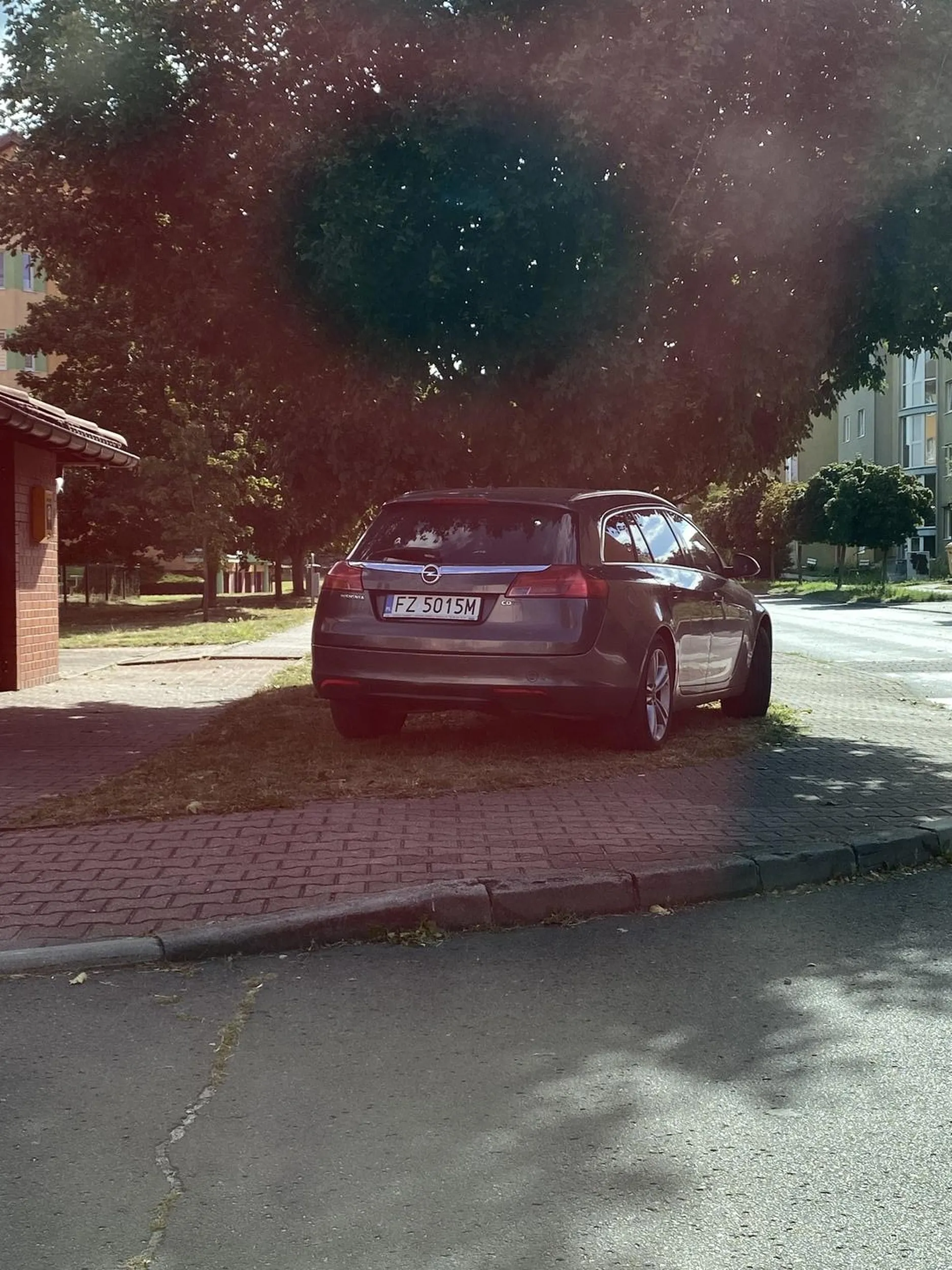 Widać że jazda wzdłuż po chodniku, przejściu dla pieszych oraz niszczenie zieleni jest standardem