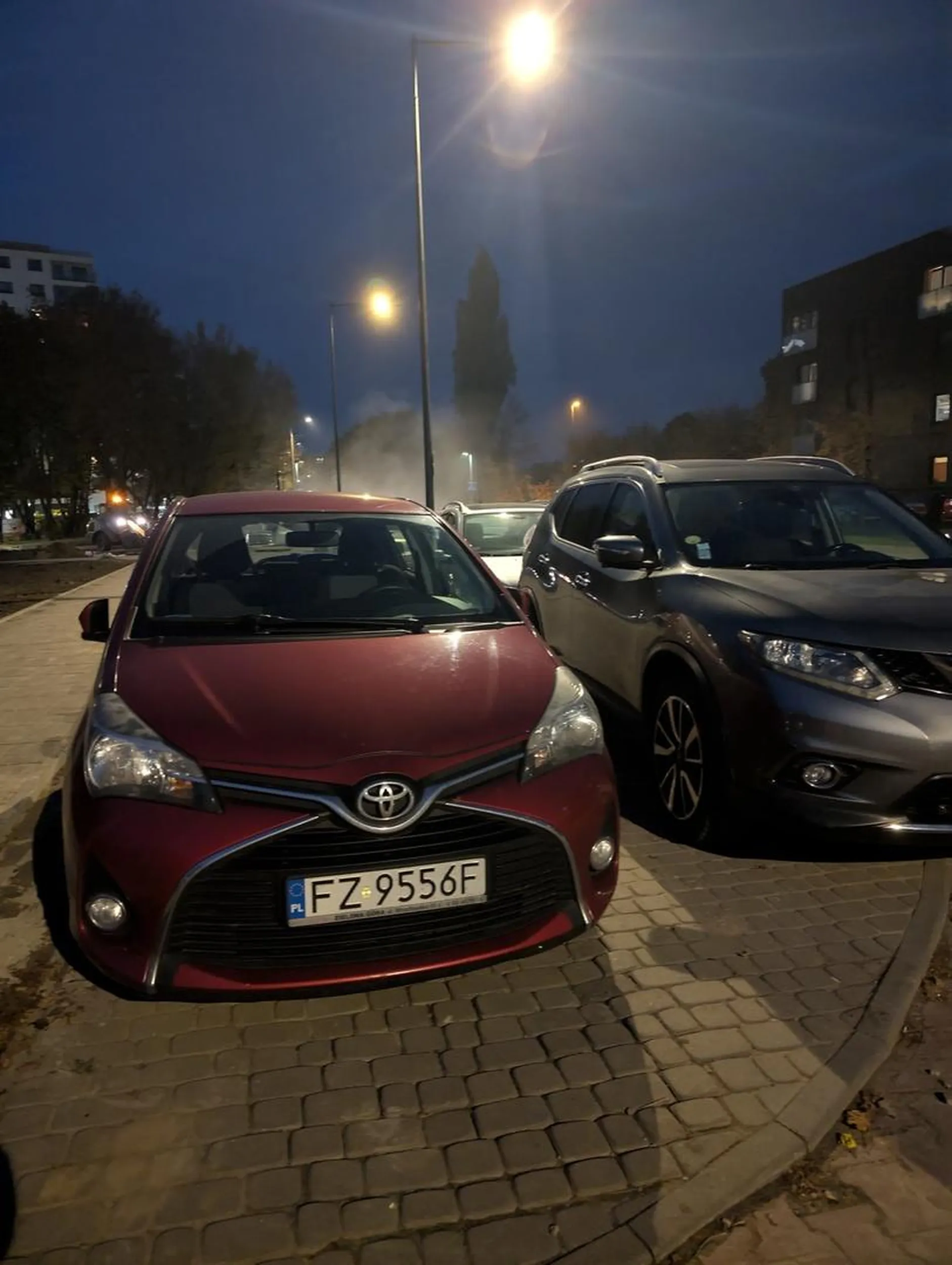 Fotki strzeliłem jak szedłem na zakupy, wracając akurat spotkałem Panią która wracała do auta z pieskiem po spacerku... ręce mi opadły, wsiadła i odjechała.