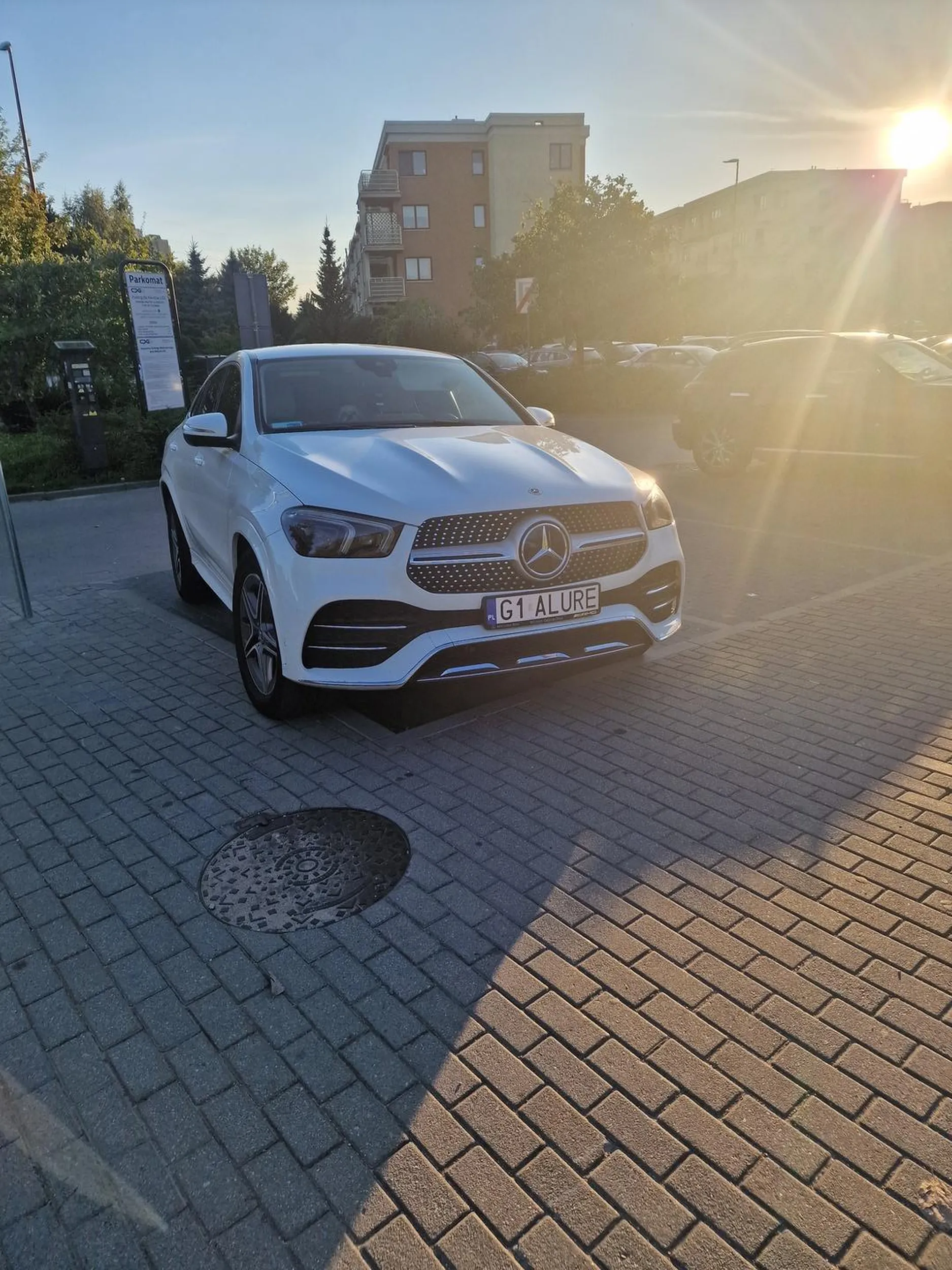 Samochód z zamkniętym psem w środku. Zaprkowany pod ukosem tak, że zajmuje 1.5 miejsca.