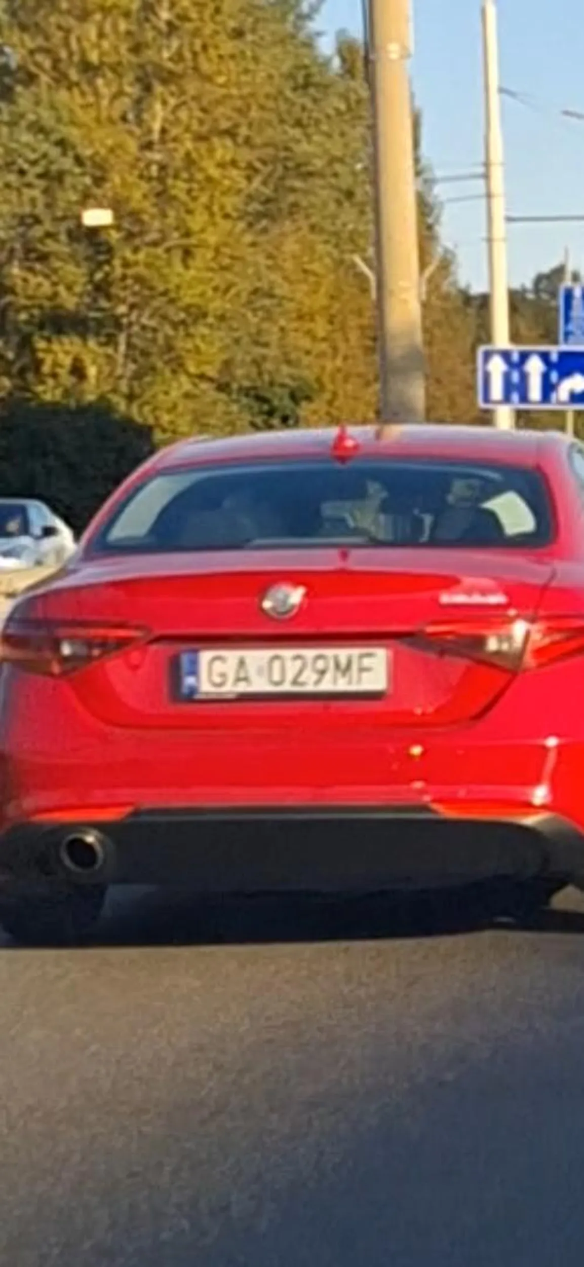 Myśli ze ma czerwona alfę to może na czerwonym