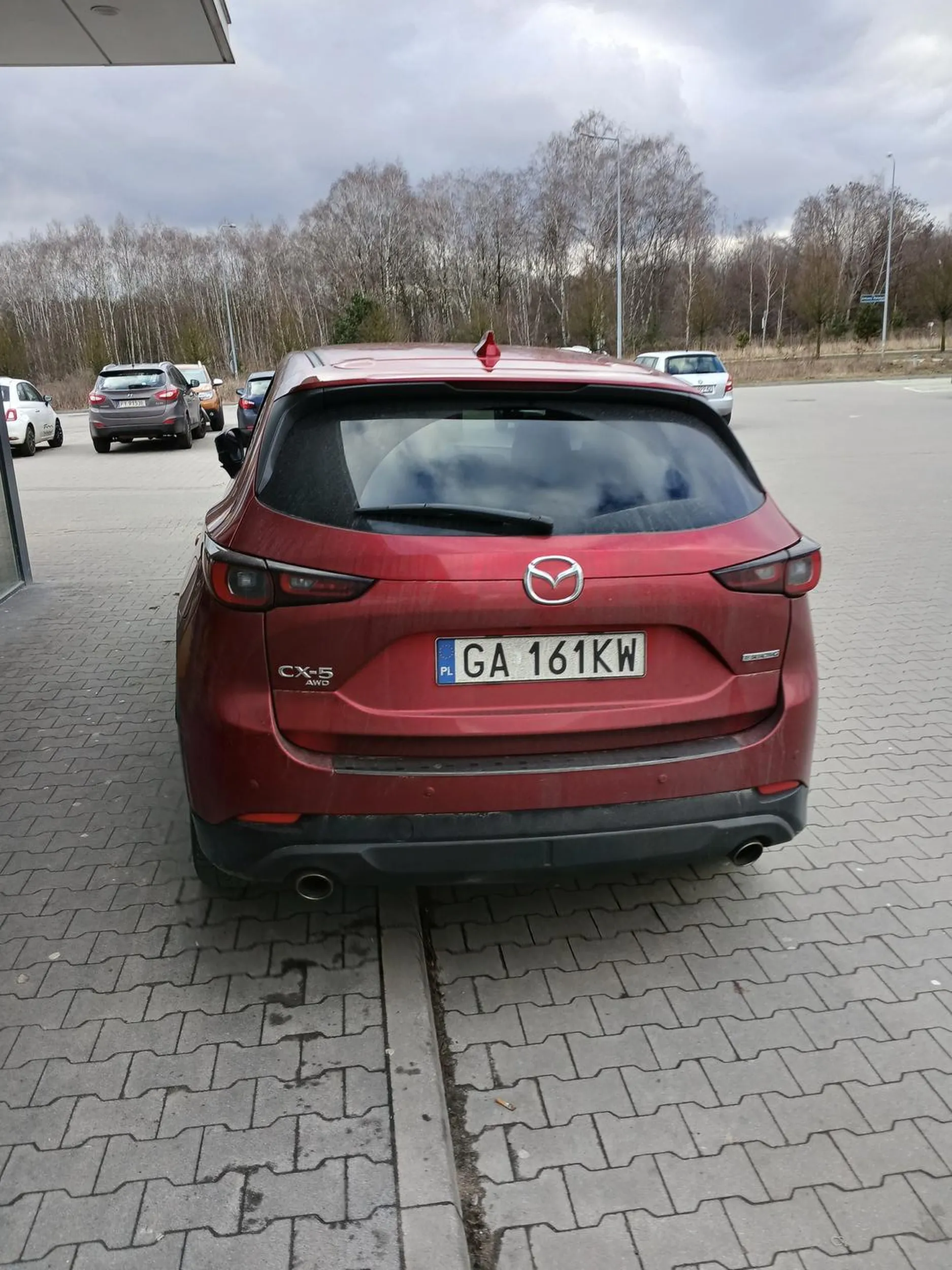 Kierowca niepoważny, nie zwraca uwagi na pieszych, rusza gwałtownie przy przechodzących osobach, jedzi bez rozwagi