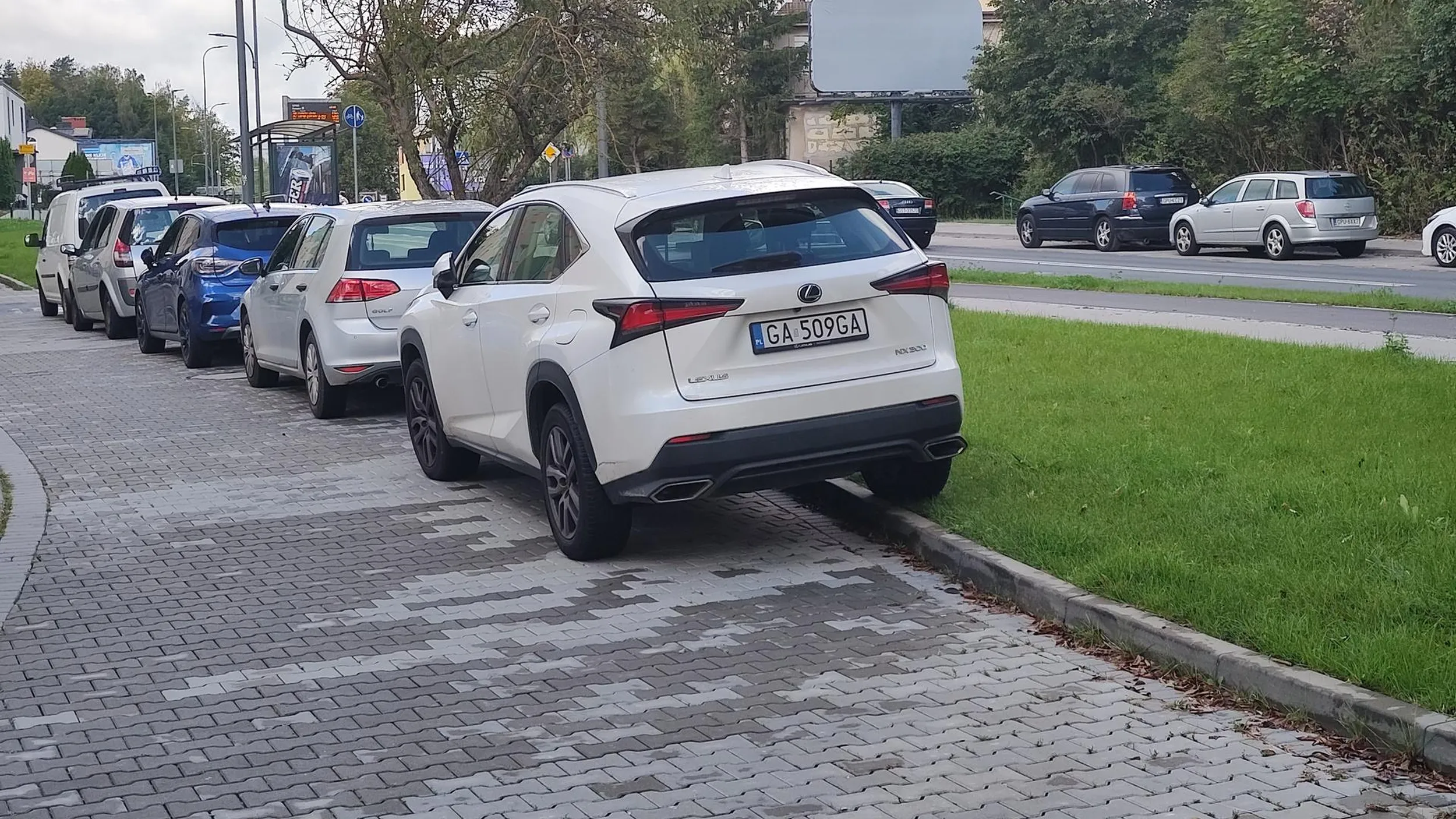 Kolejny dzień kolejne przygody. Ujmą na honorze byłoby chociaż trochę nie niszczyć trawnika.