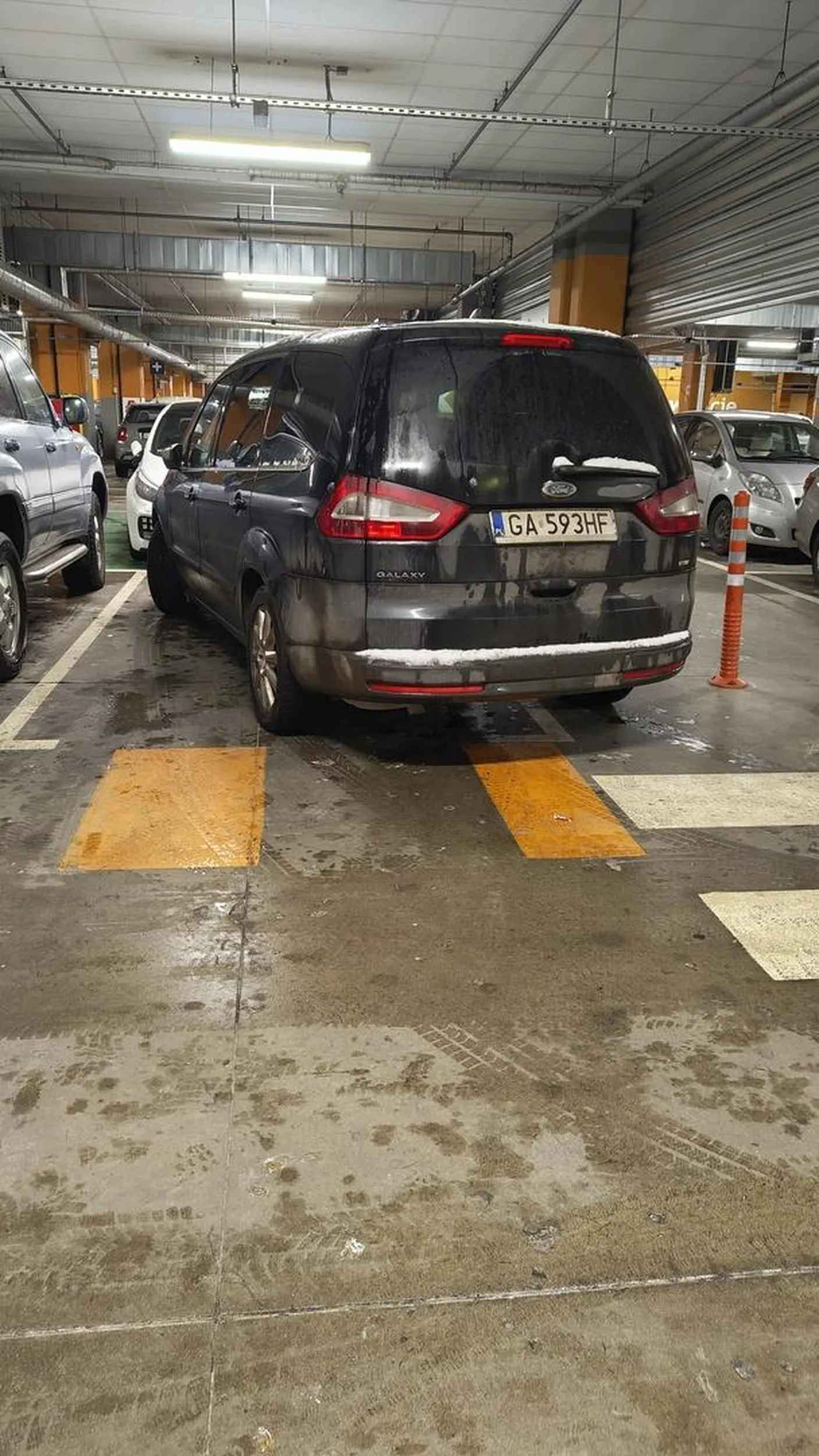 Naucz się parkować. Prawko w chipsach znalazłeś? Parking Riviera Gdynia 15 luty 2025 Foto na pamiątkę