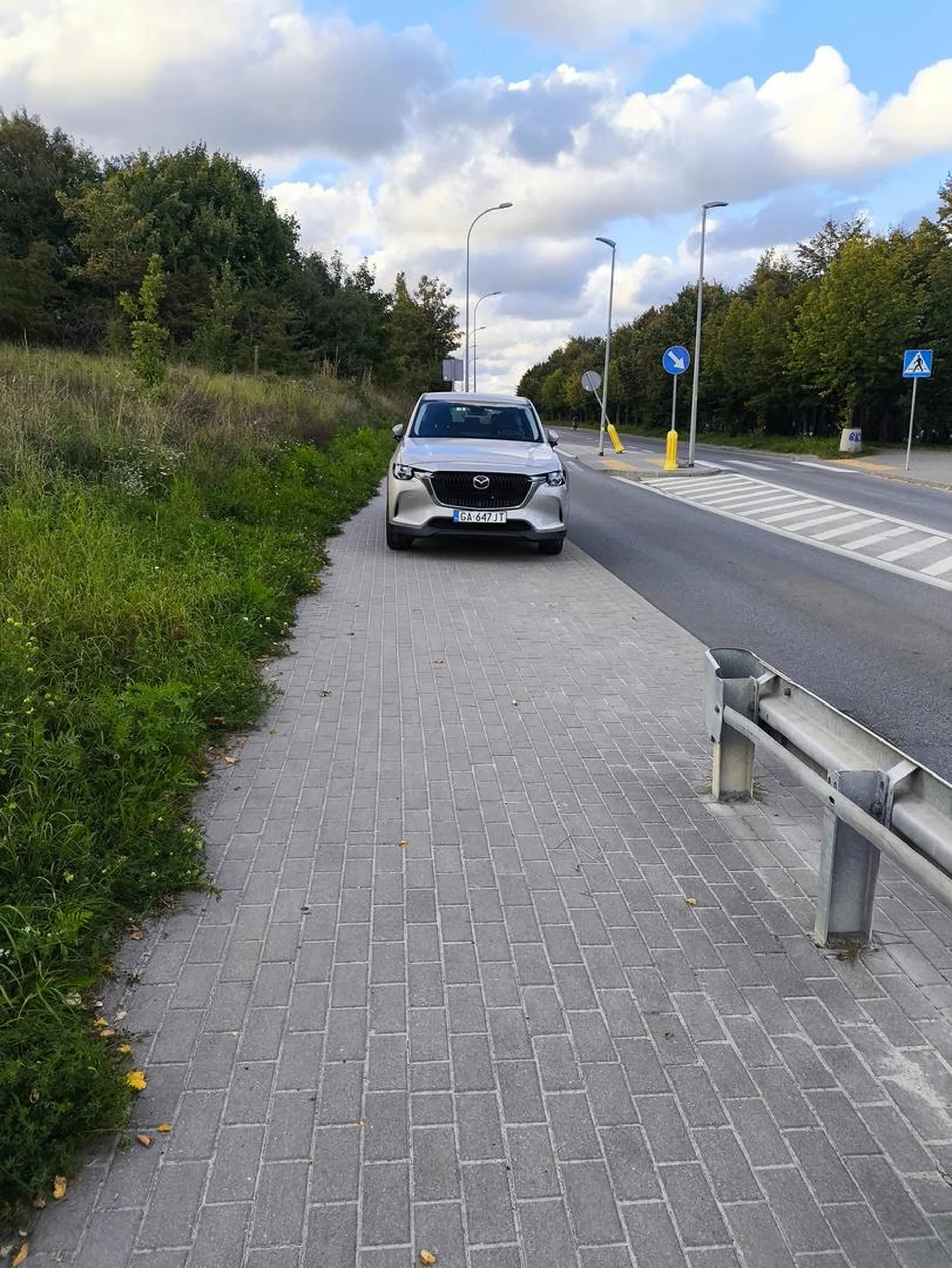 Parkowanie poziom master (28.09.2025, okolice cmentarza Łostowickiego)