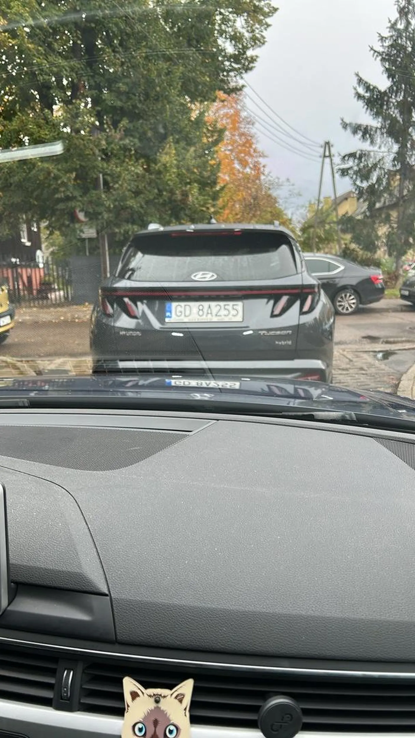 Gratuluję mózgu za stawianie samochodu na wyjeździe z parkingu