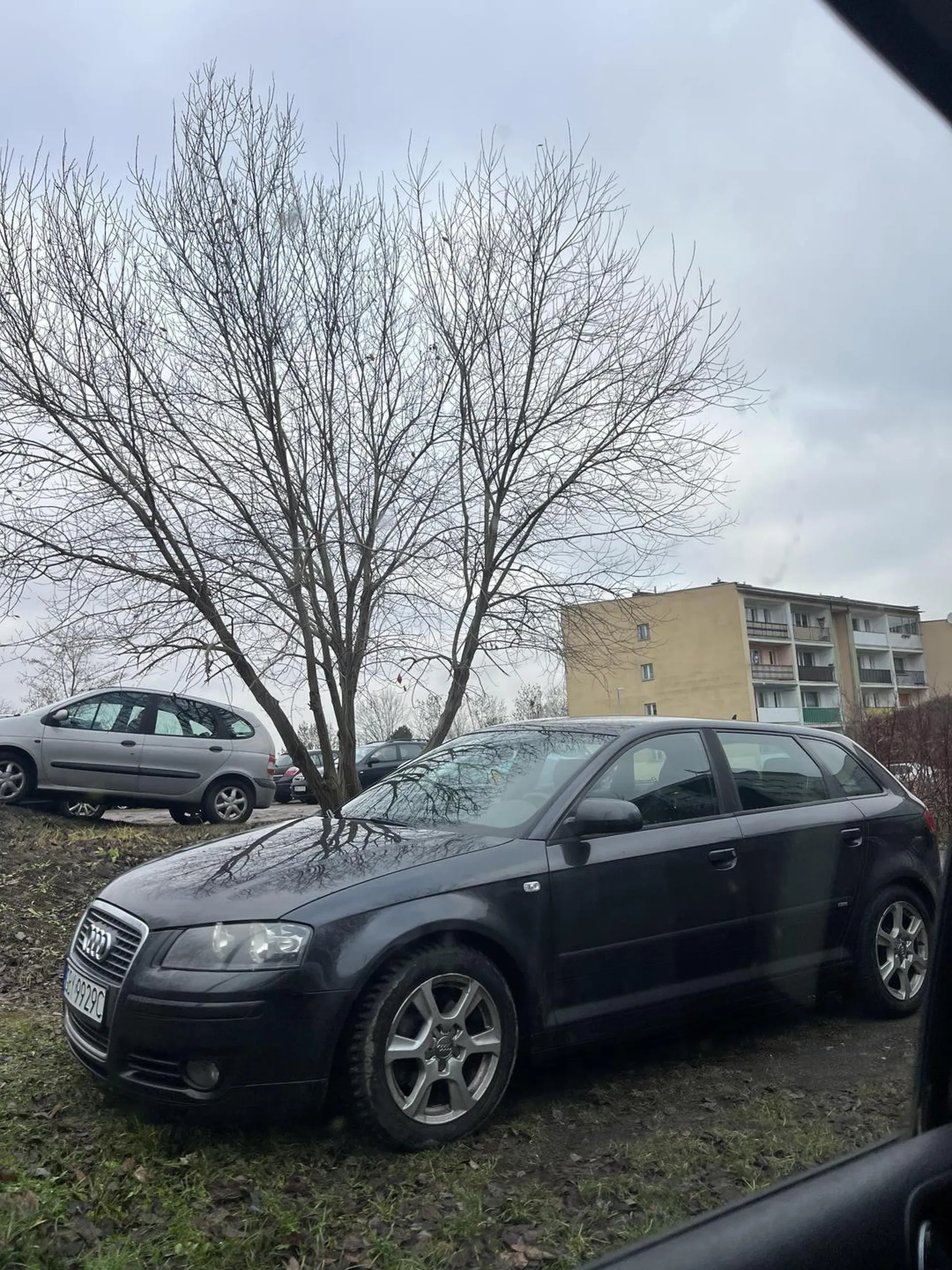 Stanął jak pissssda