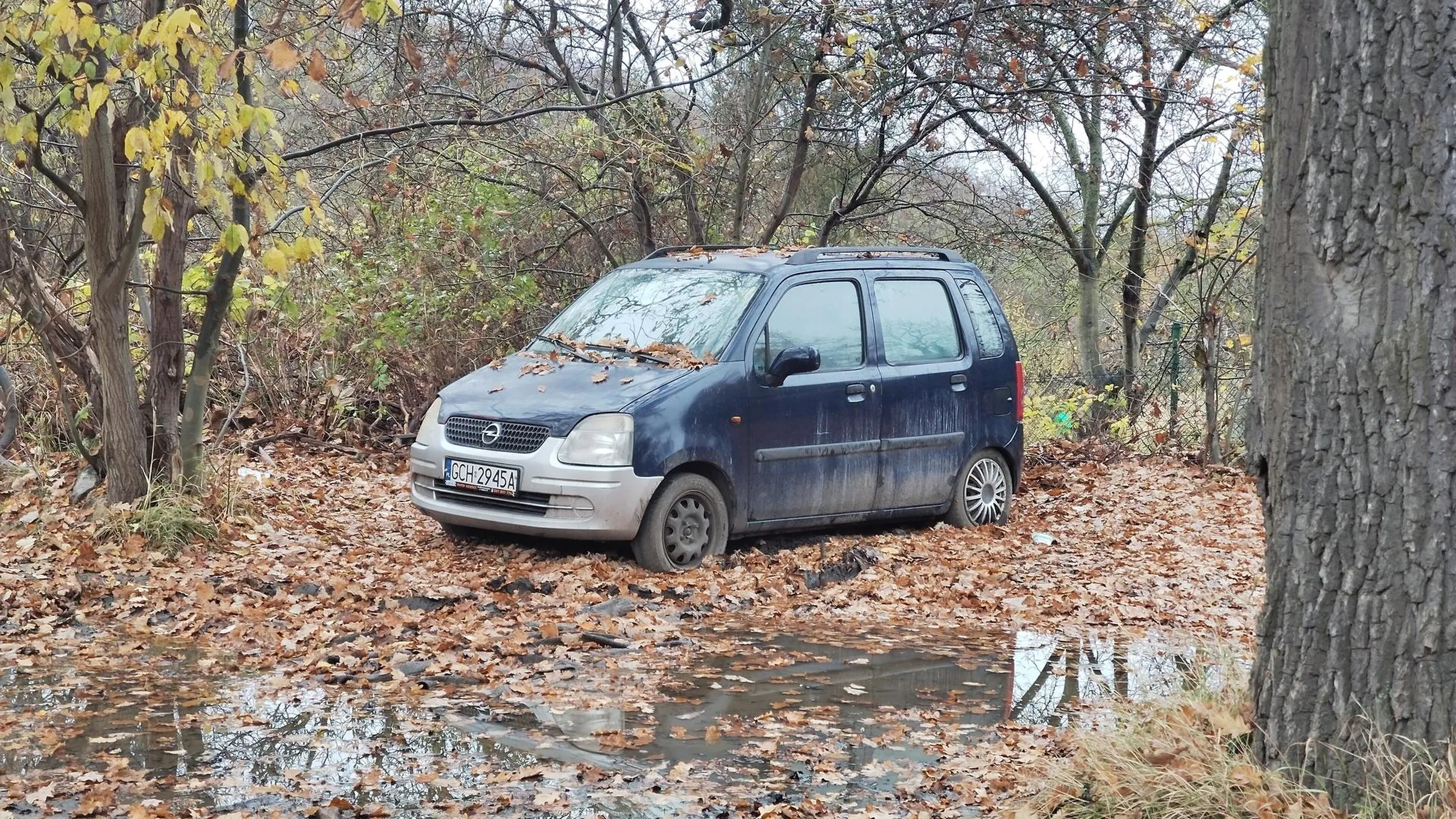 Porzucony w Gdańsku. Cyganska góra - ogródki działkowe trzy deby