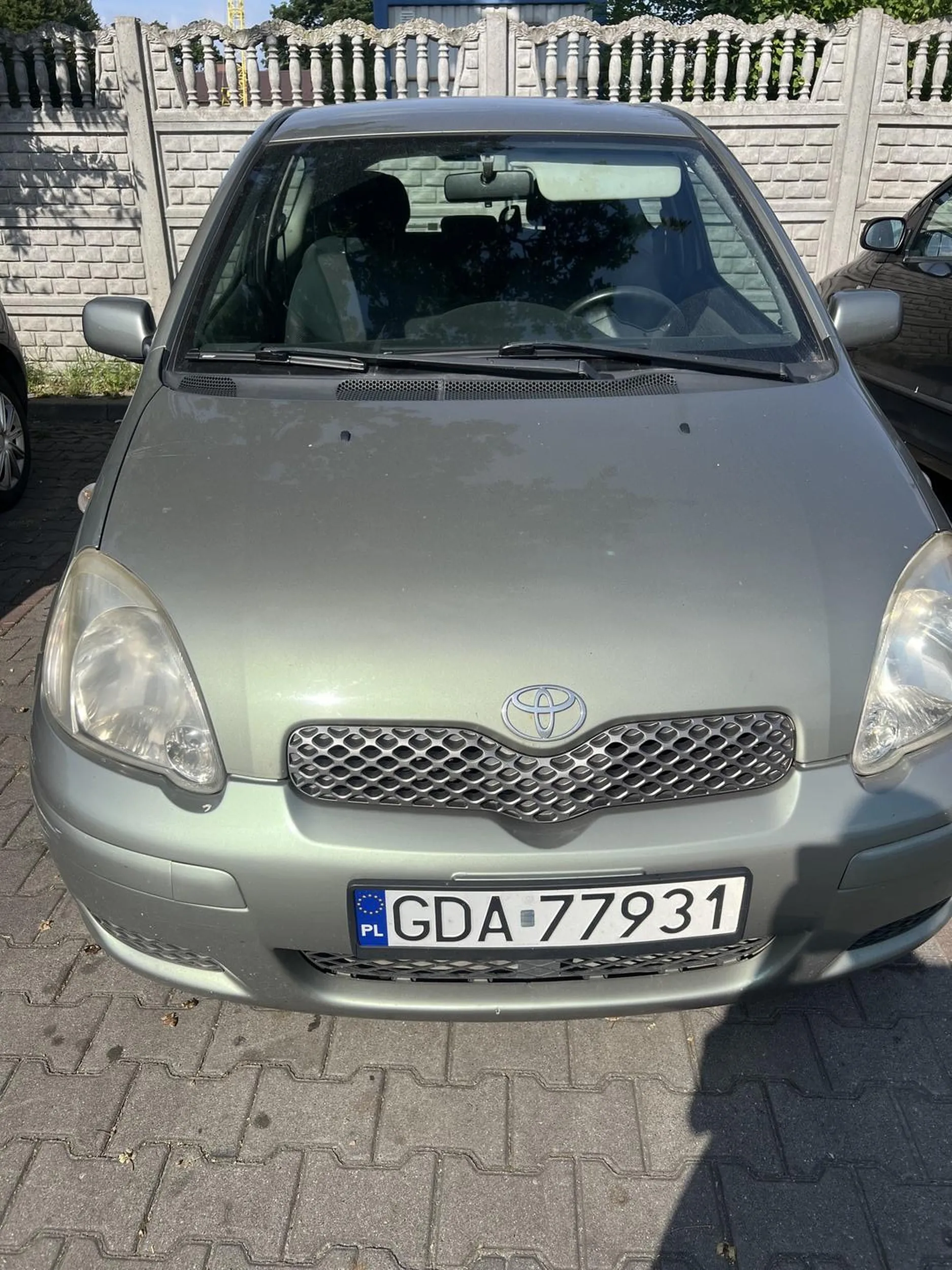 Pies pozostawiony w upał w aucie. Szczeka i warczy, zestresowany.