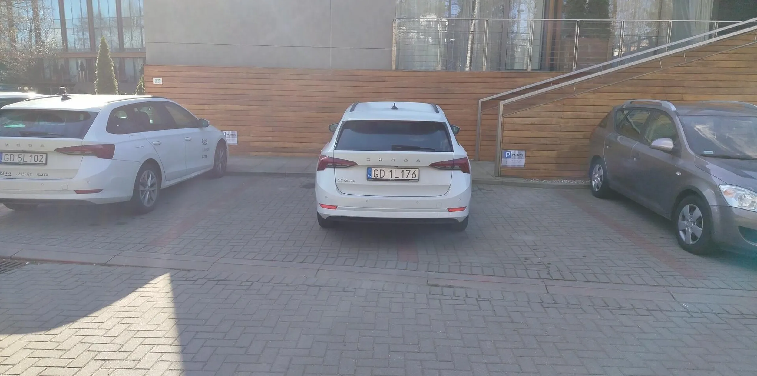 mistrz parkowania w akcji