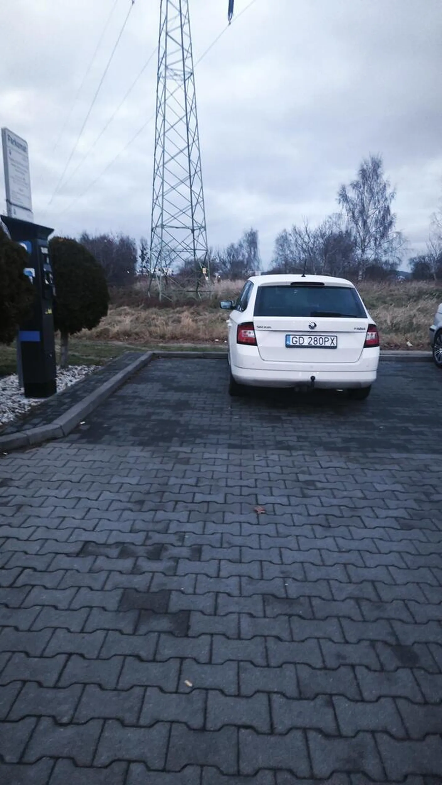 Staje pipa na dwóch miejscach parkingowych. Gratulacje bezmogu. Rumia Lidl pomorska