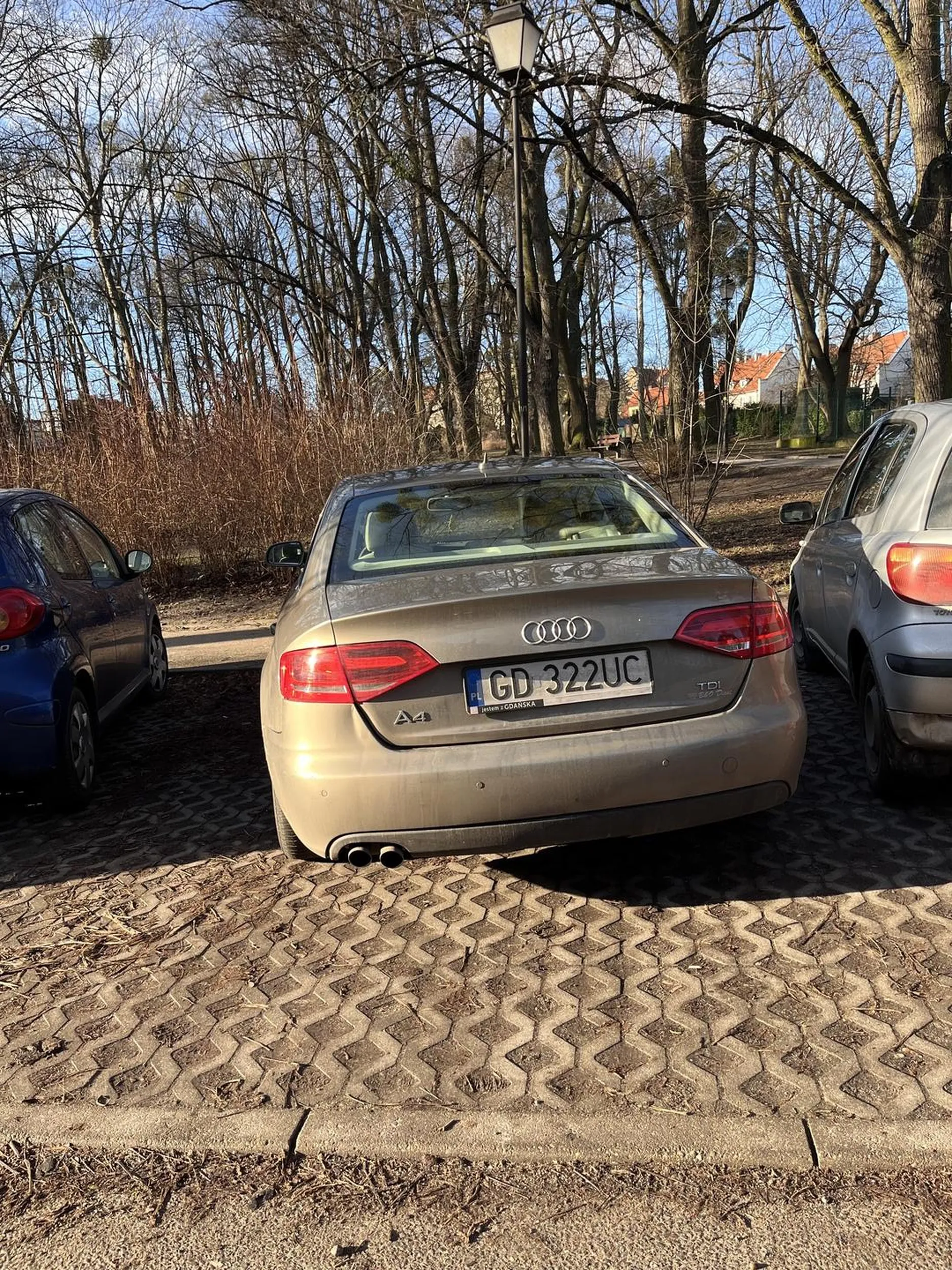 Mistrz Parkowania. Naucz się parkować Panie/Kobieto.