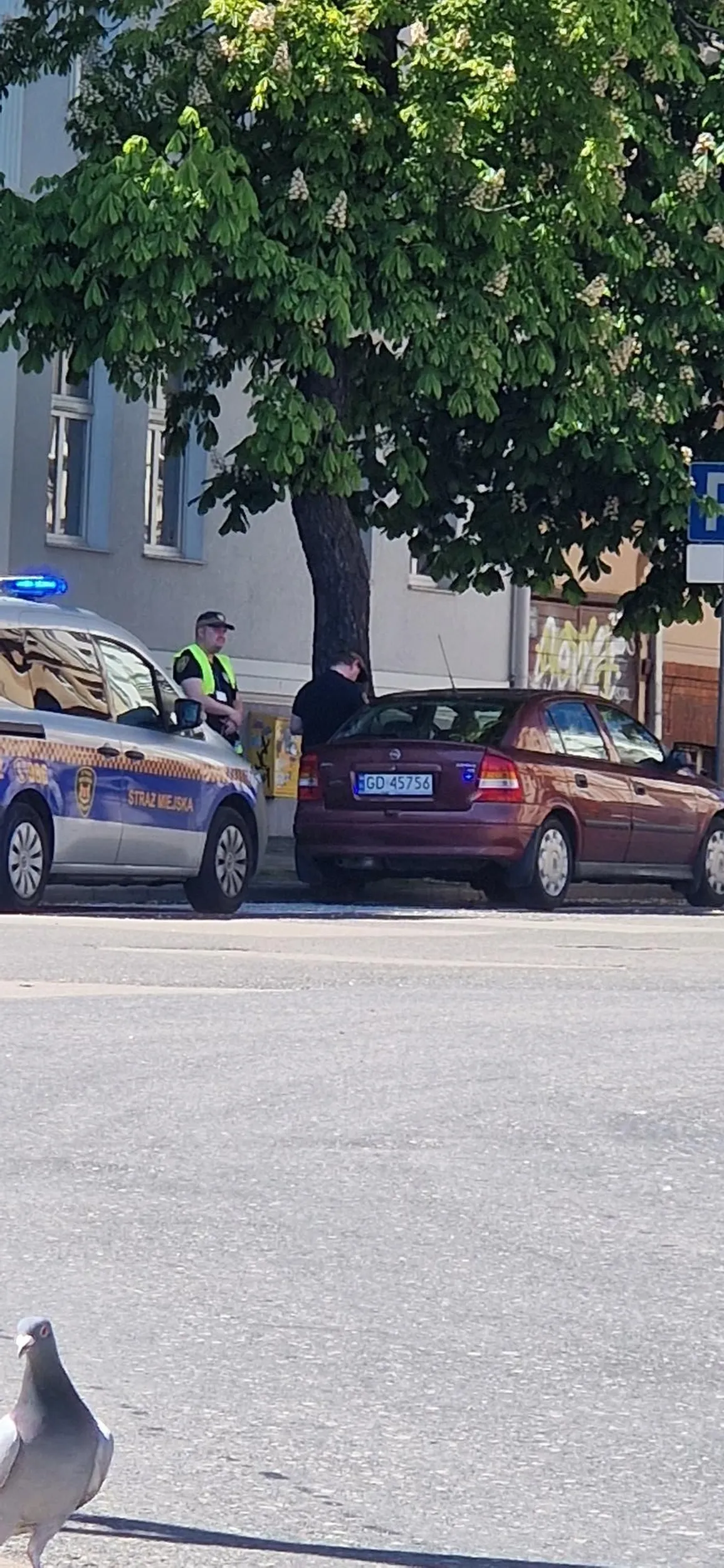 Właśnie mandat dostaje