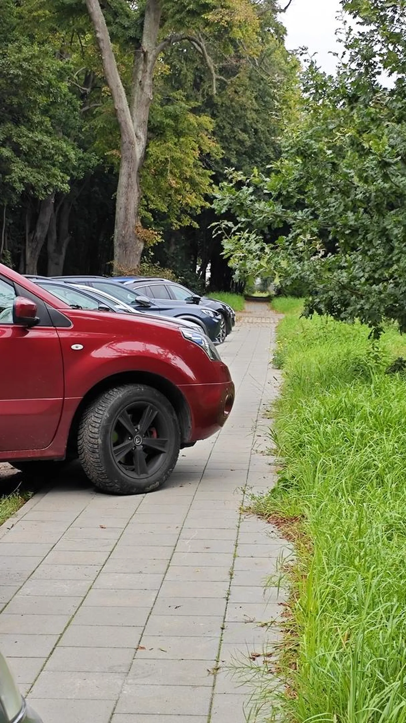 Nie ma to jak zająć cały chodnik...