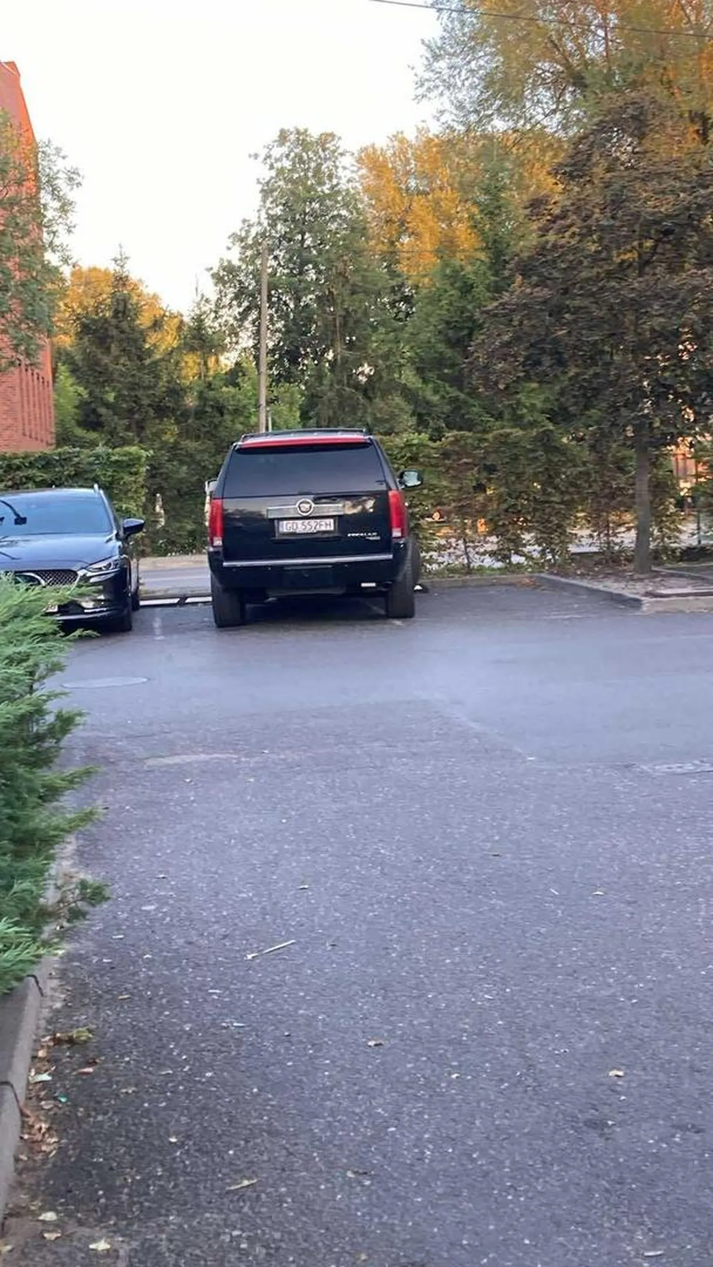 pies cie jebał mendo i twoja matke