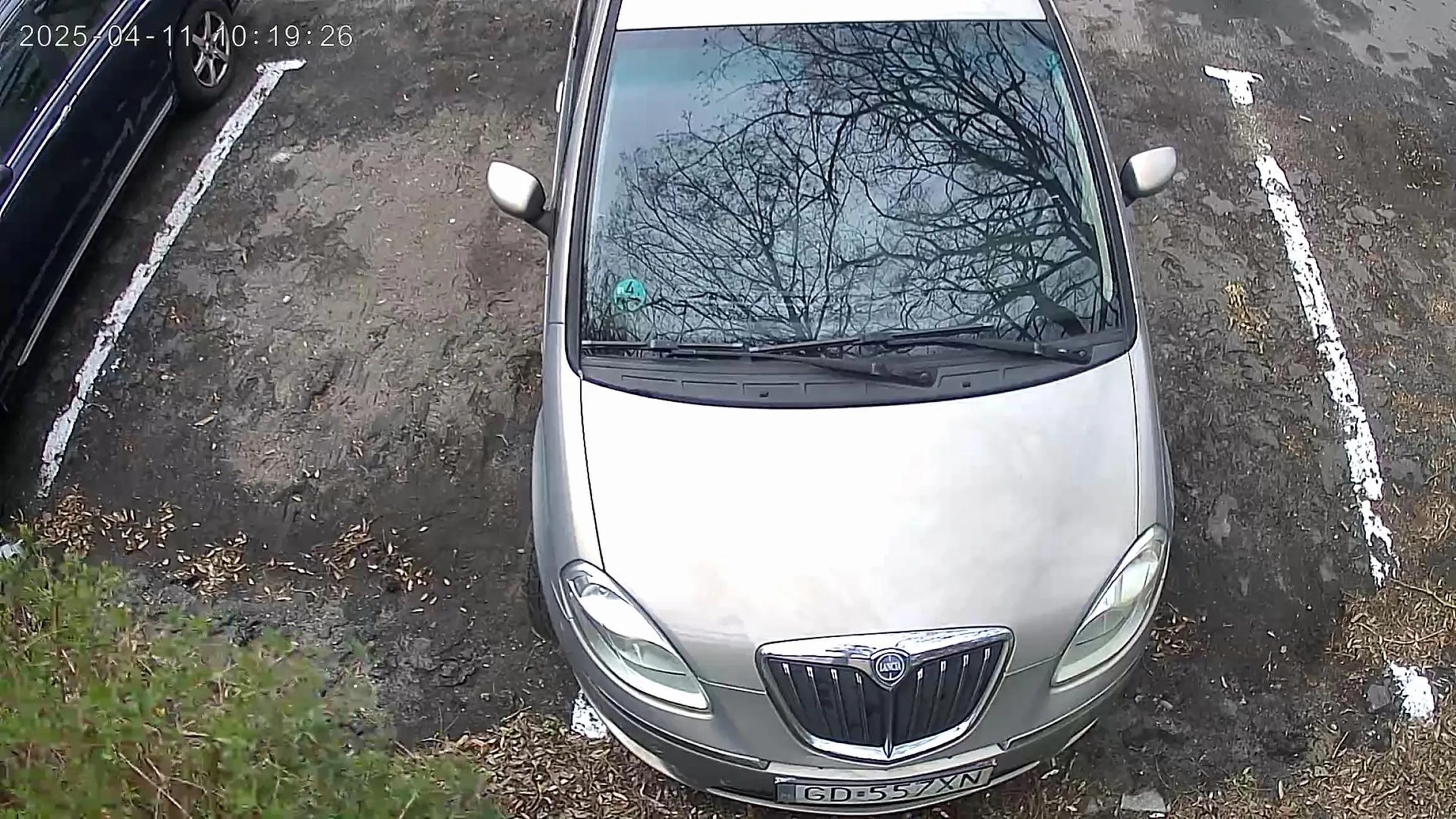 Wielki tupet właścicielki potrzebuje dużo miejsca