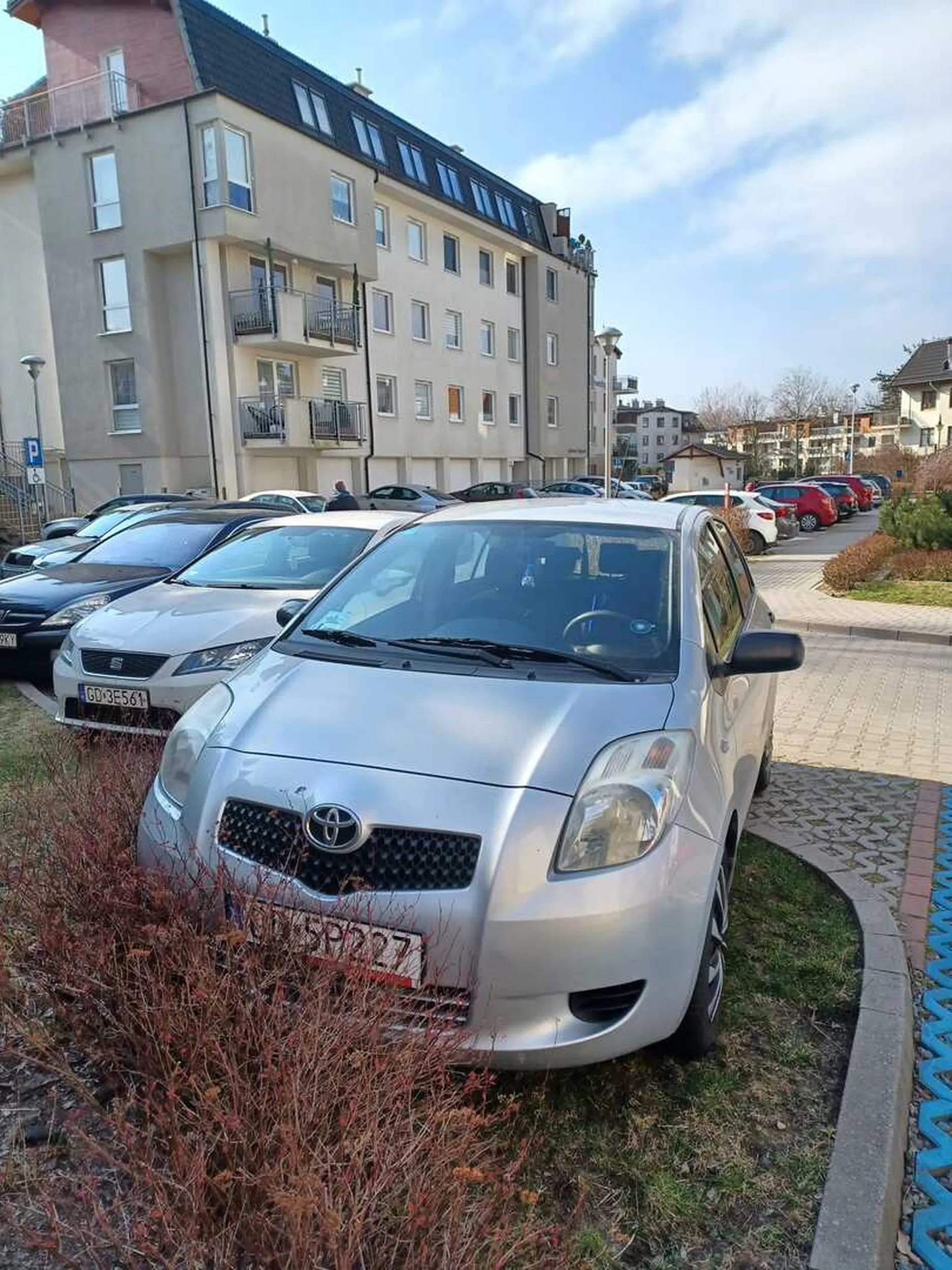 Niszczy prywatną własność.